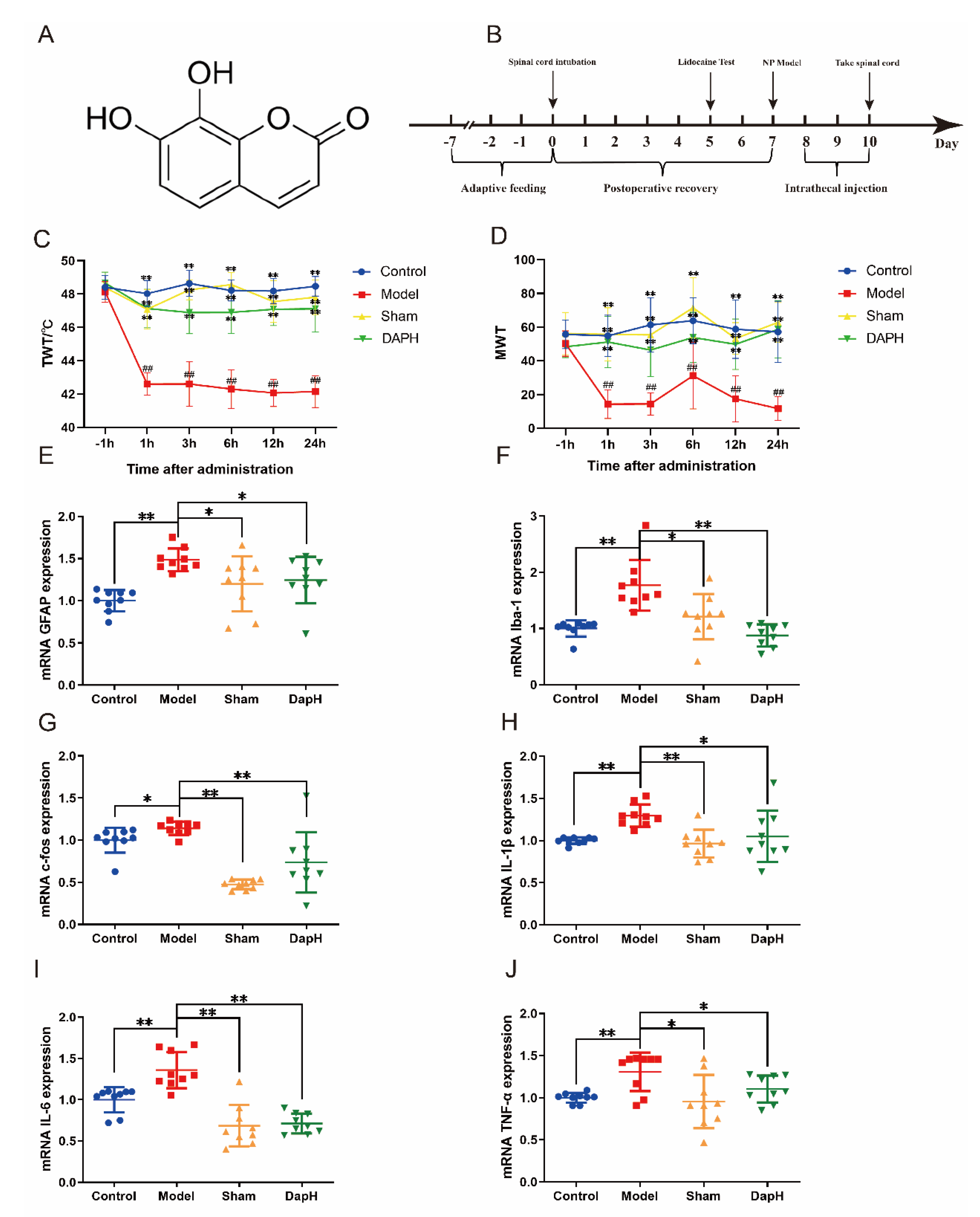 Pharmaceuticals 16 00243 g001