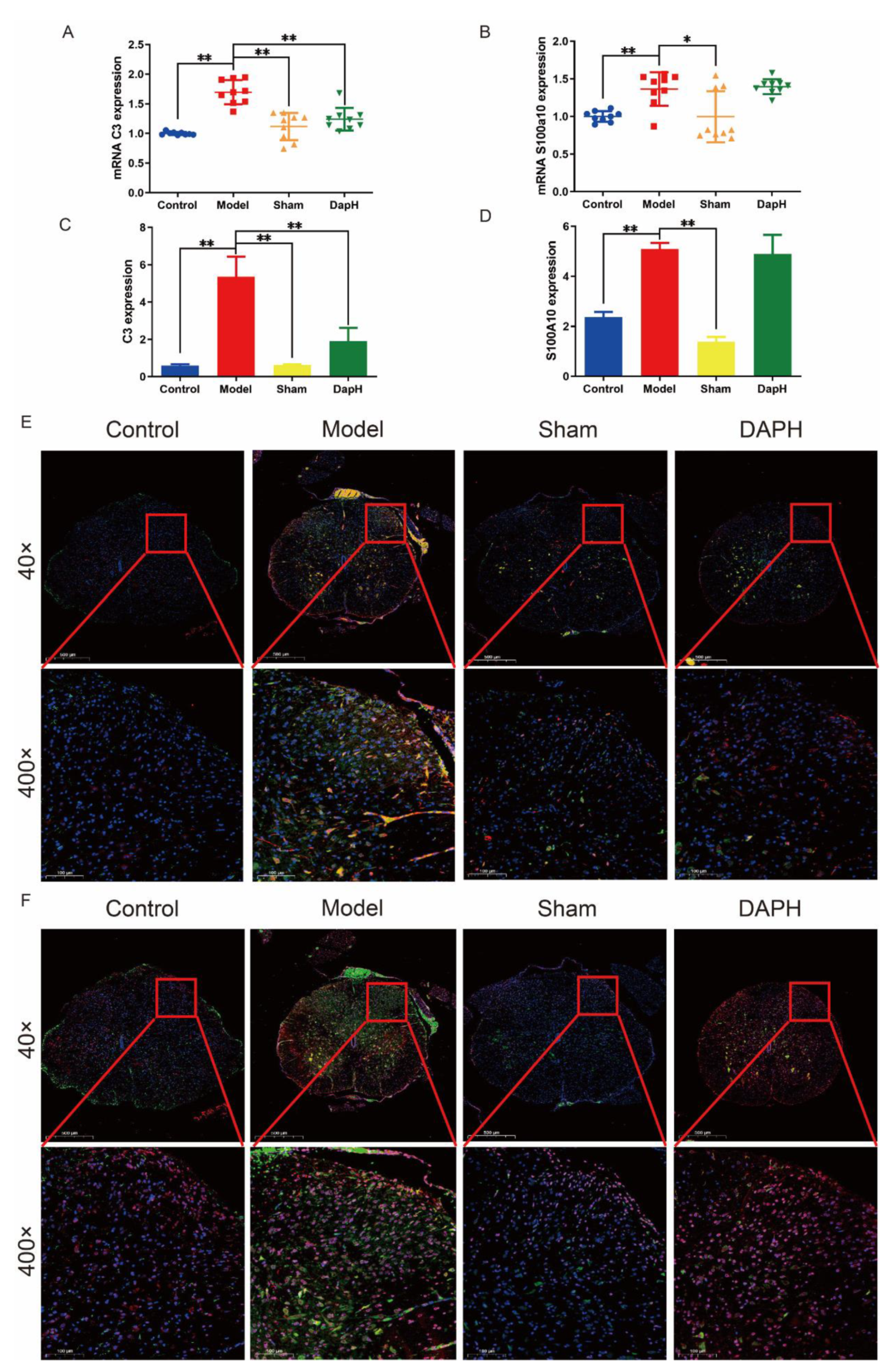 Pharmaceuticals 16 00243 g002