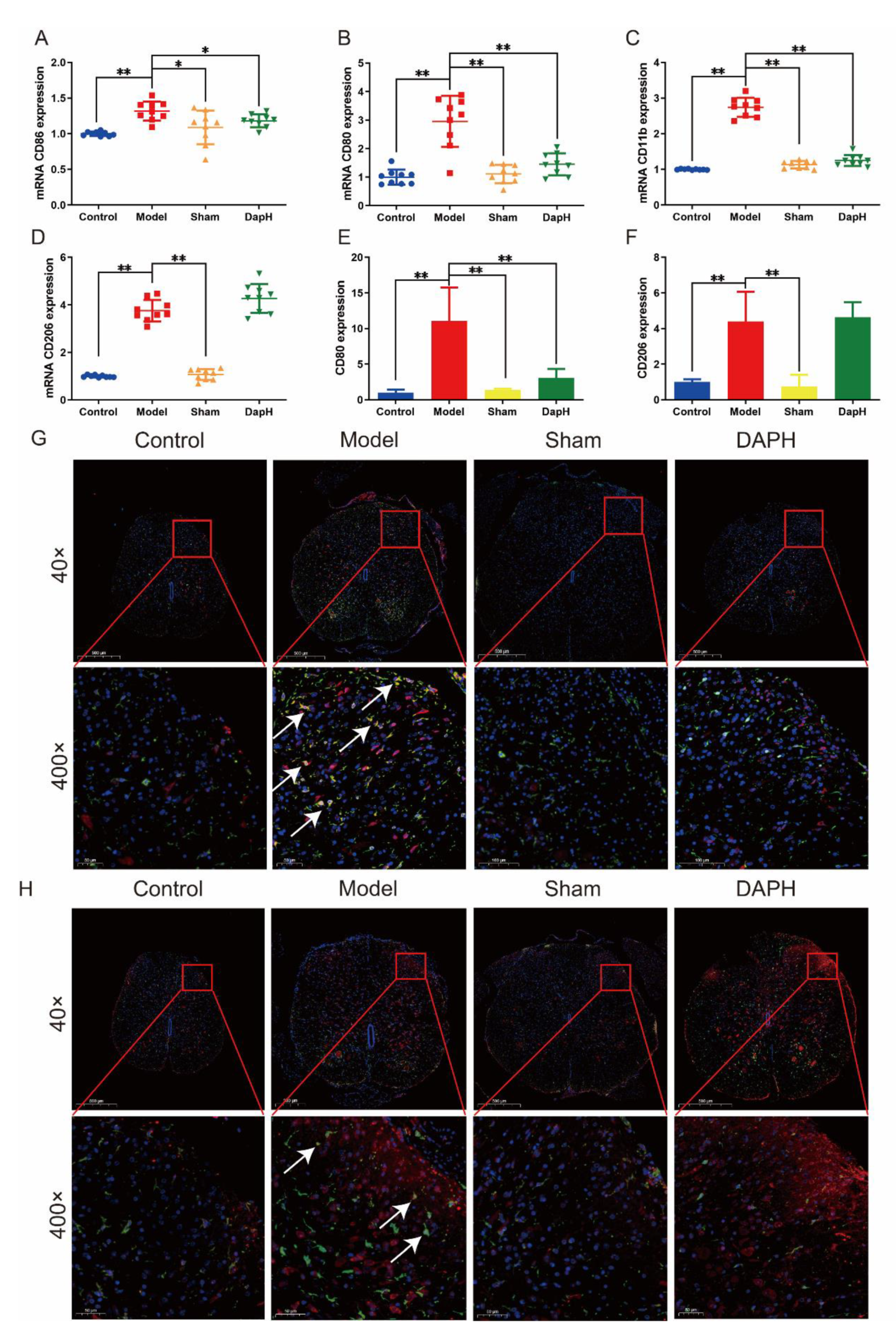 Pharmaceuticals 16 00243 g003