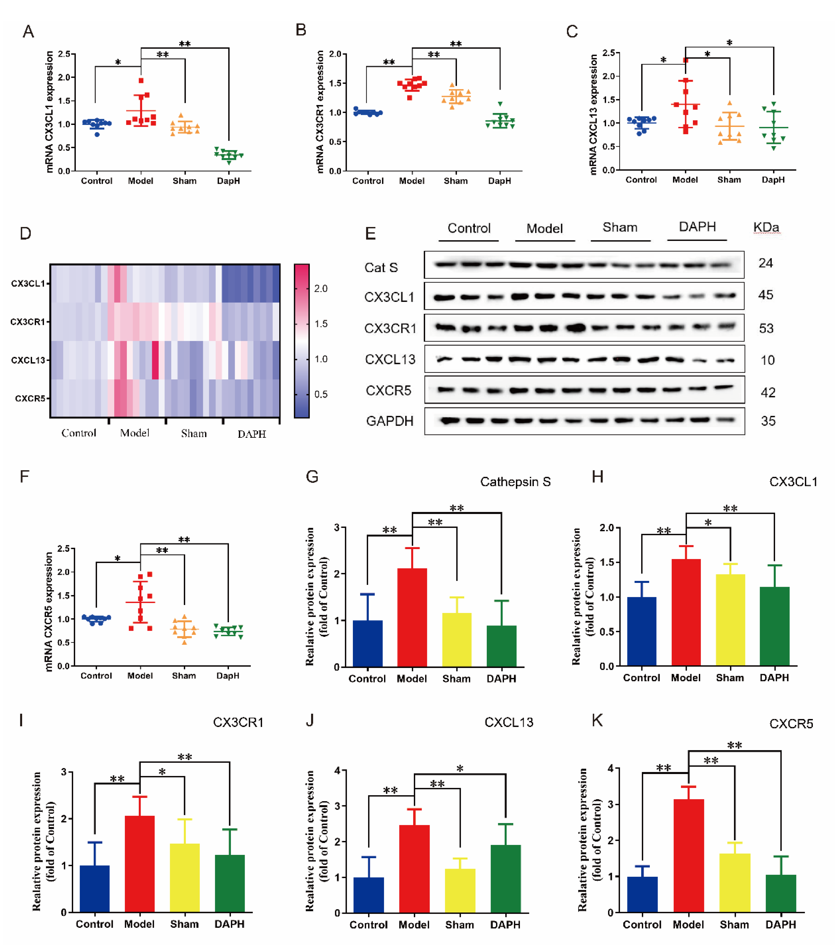 Pharmaceuticals 16 00243 g004