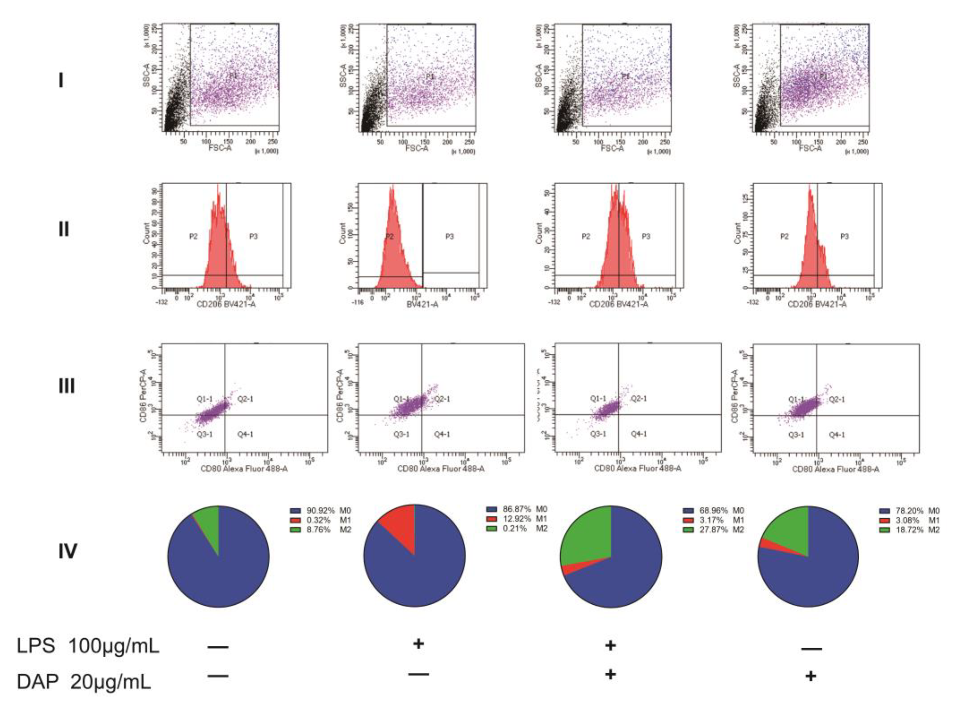 Pharmaceuticals 16 00243 g006