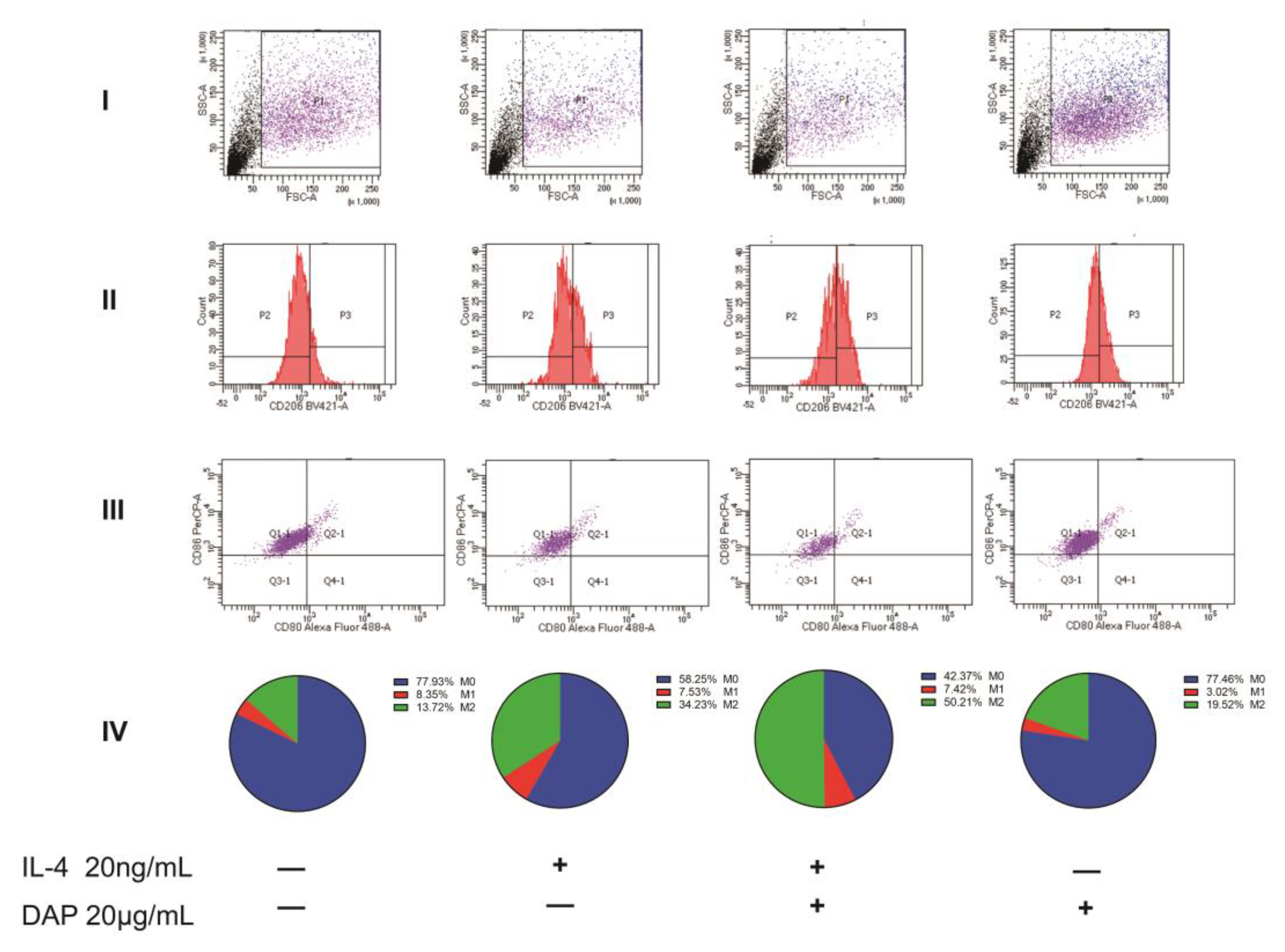 Pharmaceuticals 16 00243 g007