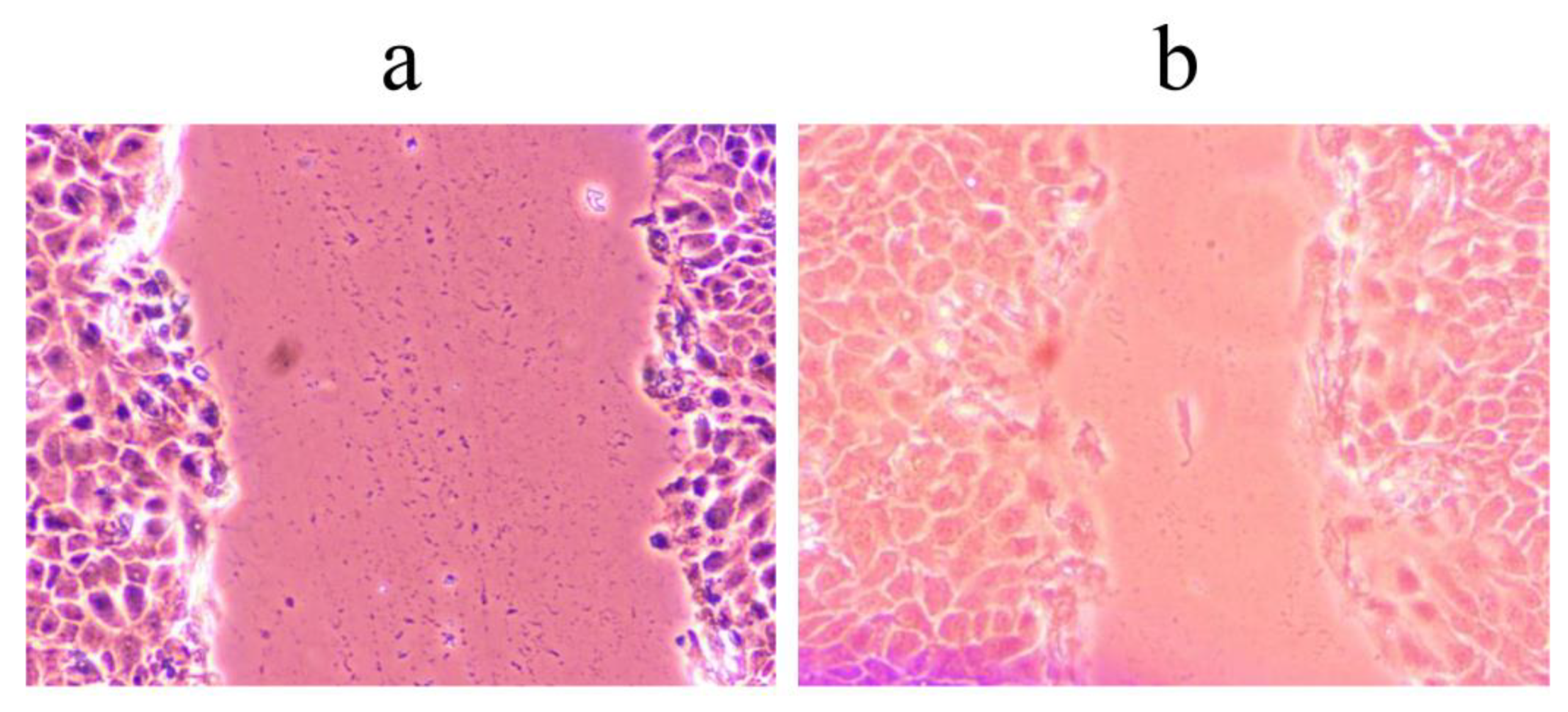 Pharmaceuticals 16 00245 g003