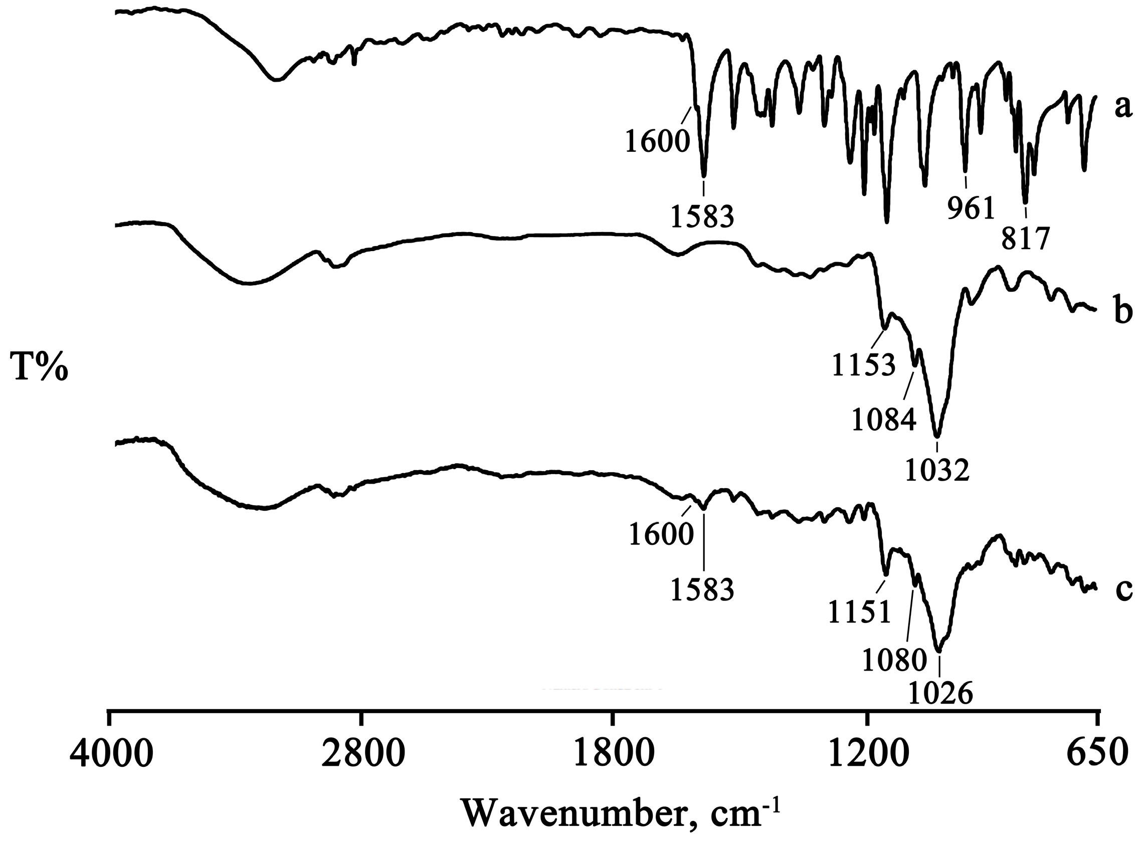 Pharmaceuticals 16 00247 g002
