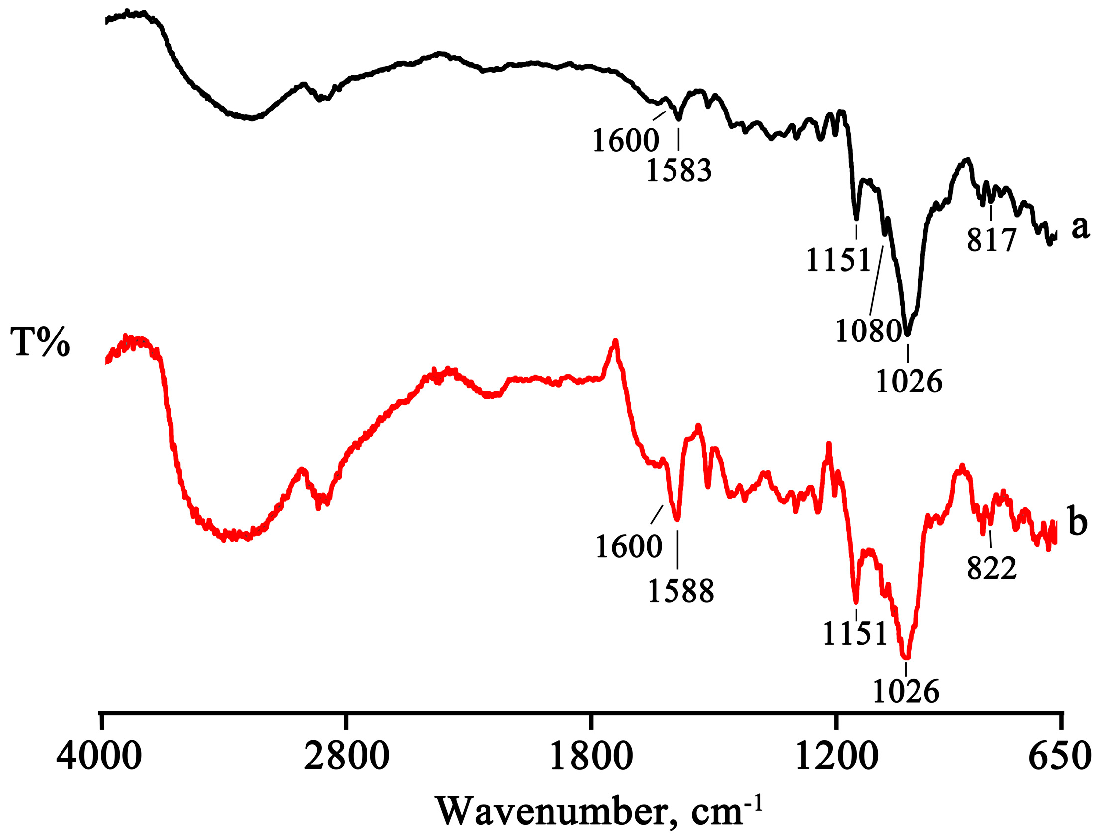 Pharmaceuticals 16 00247 g004