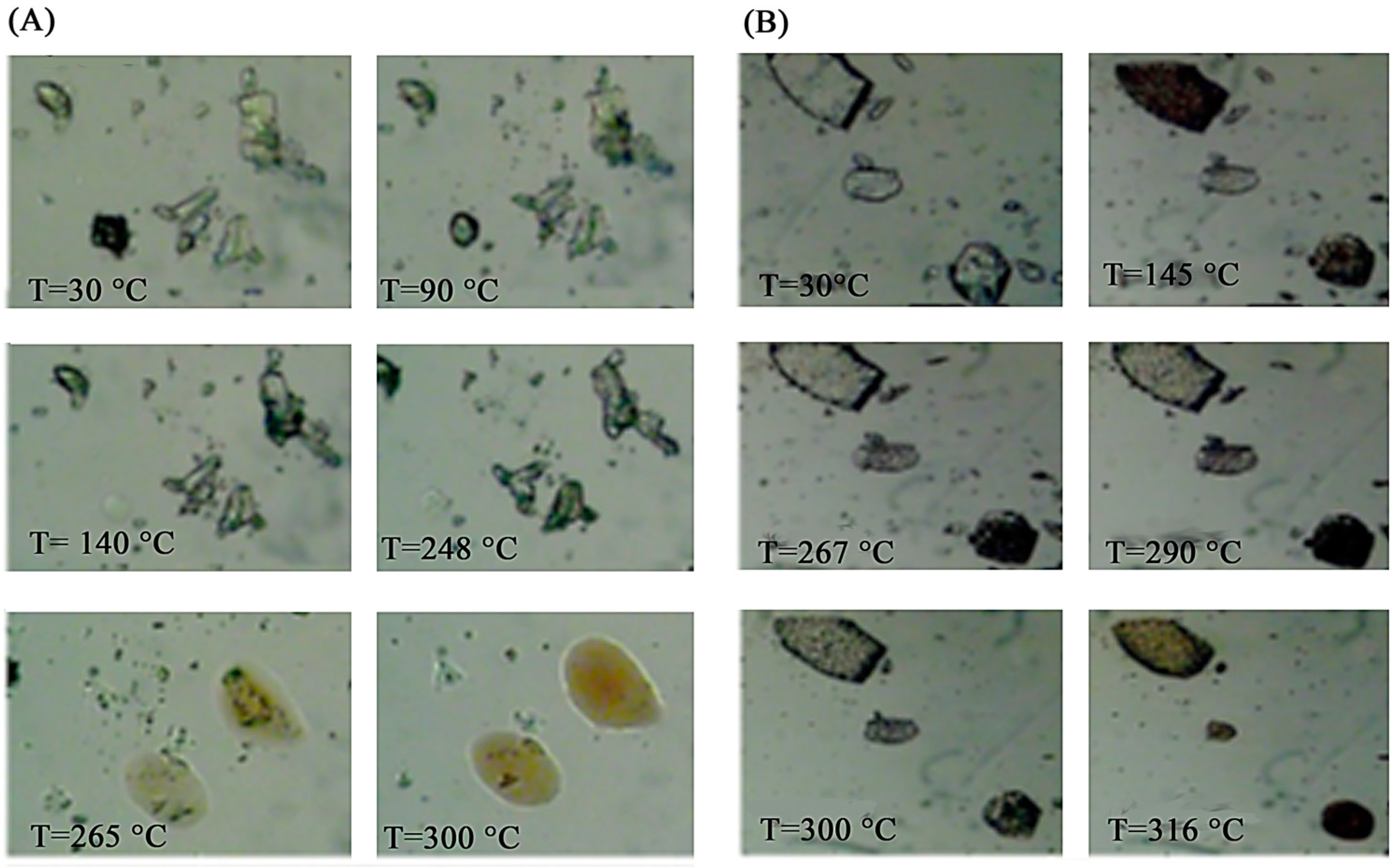 Pharmaceuticals 16 00247 g008