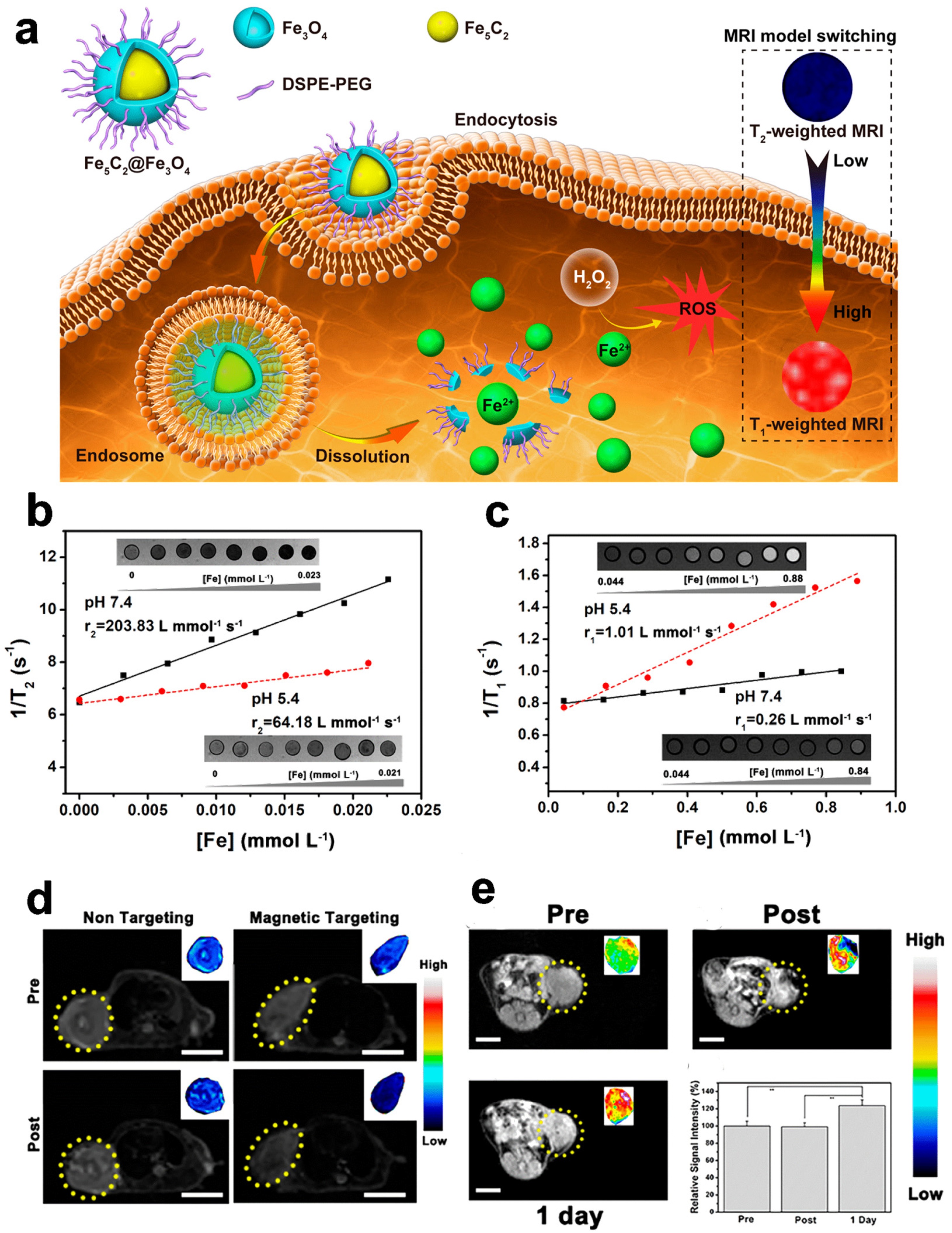 Pharmaceuticals 16 00249 g001