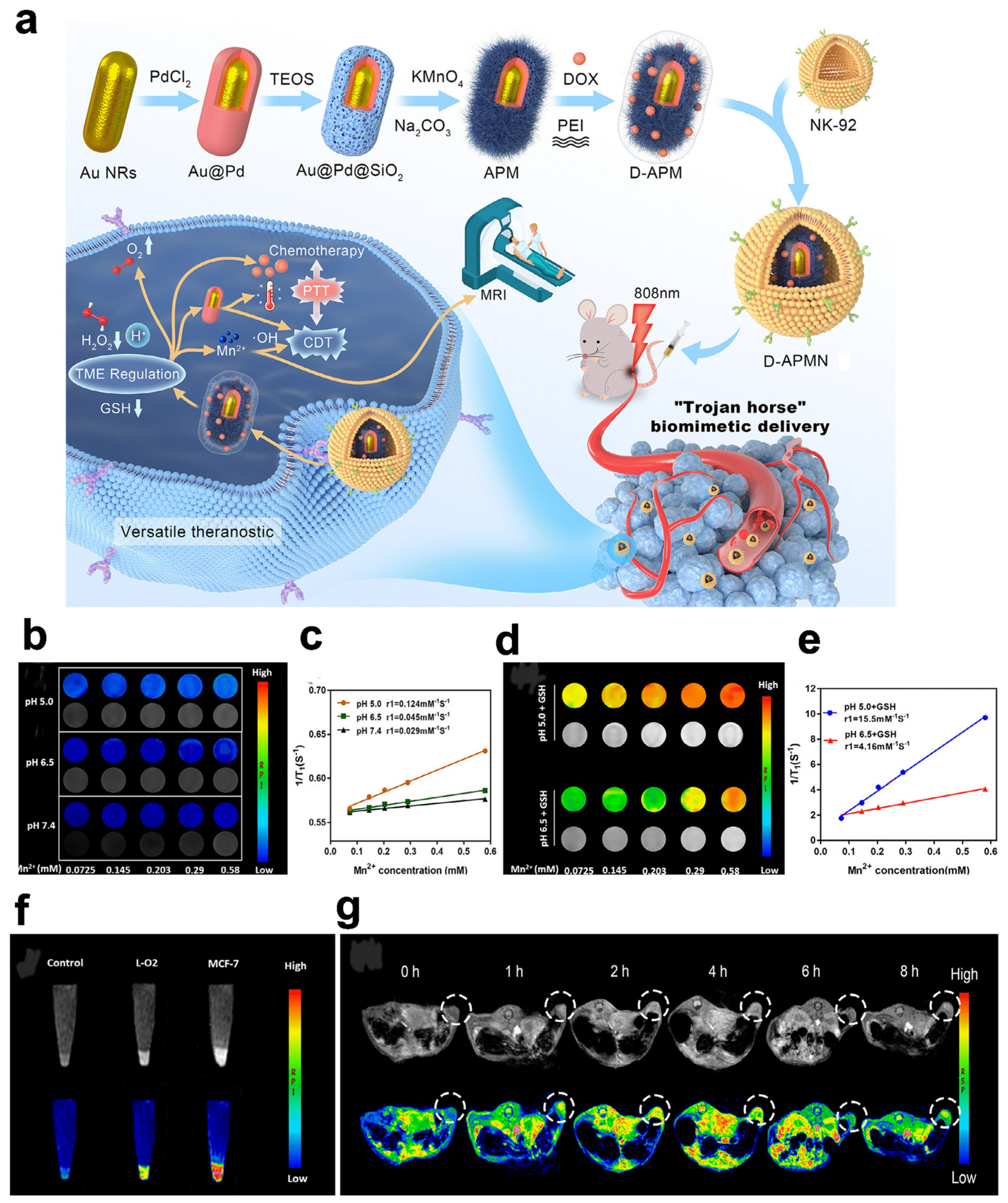 Pharmaceuticals 16 00249 g002