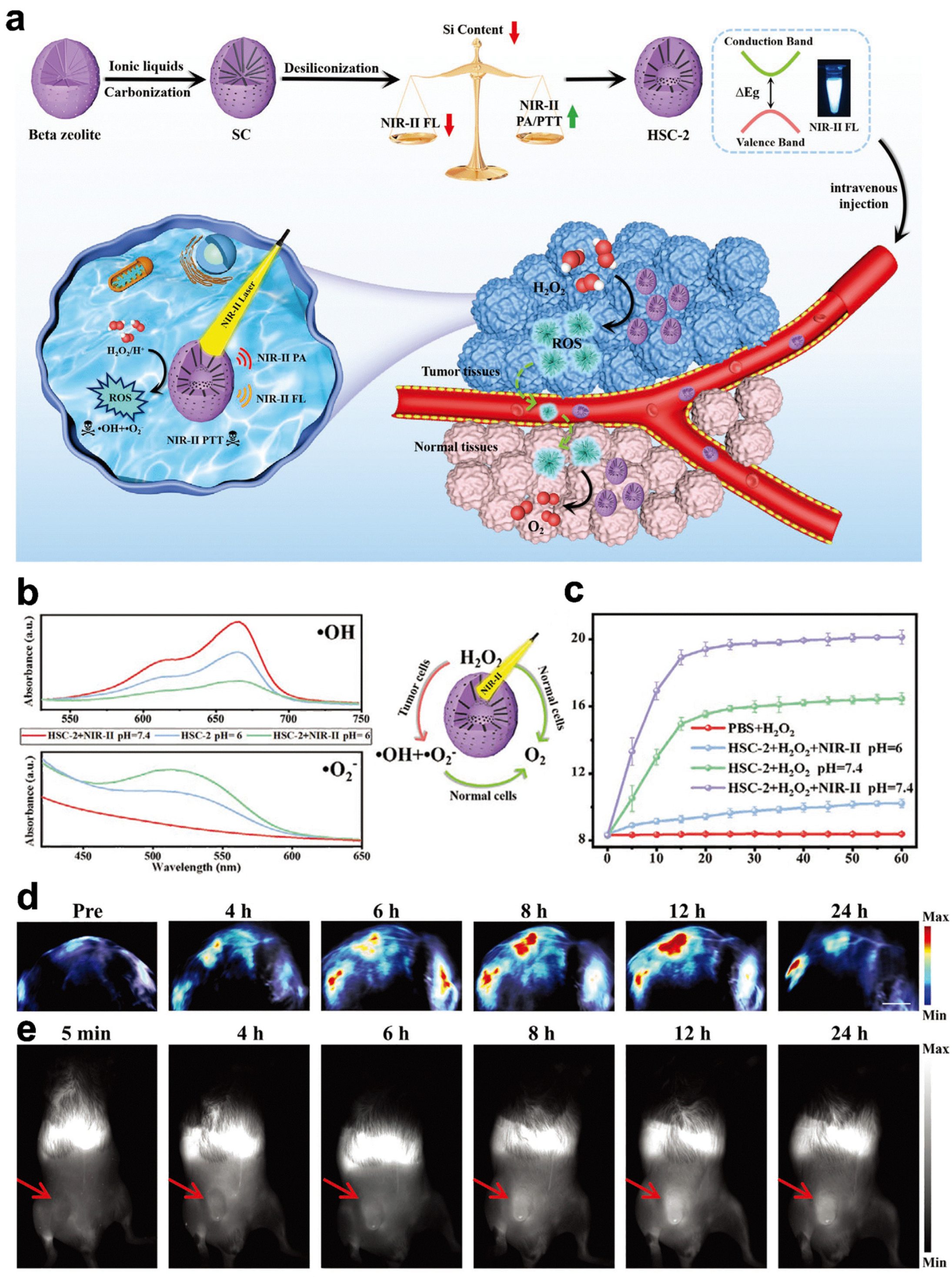Pharmaceuticals 16 00249 g005