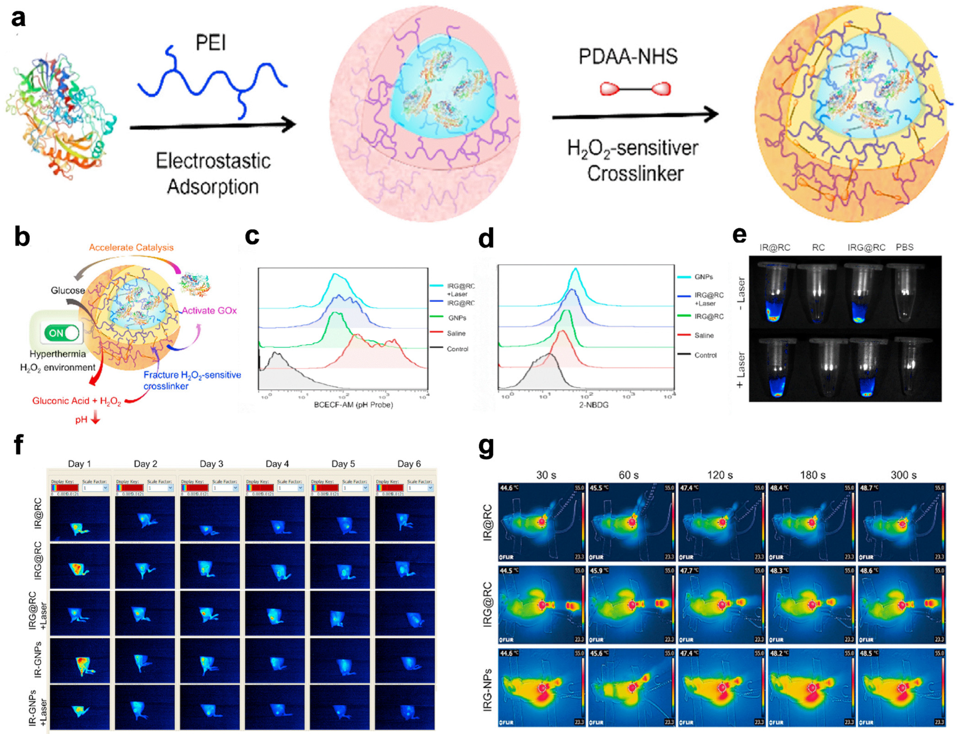 Pharmaceuticals 16 00249 g006