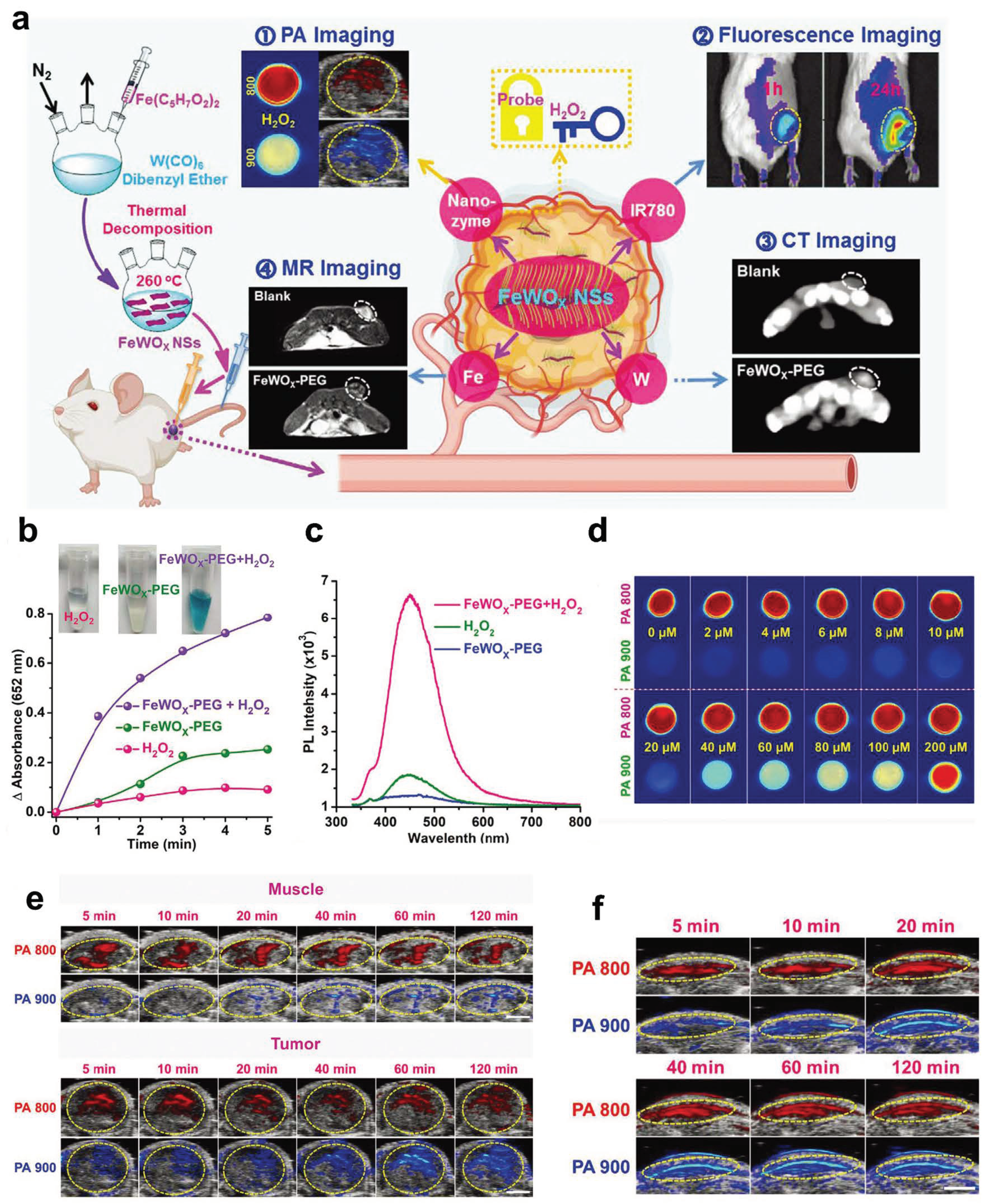 Pharmaceuticals 16 00249 g008