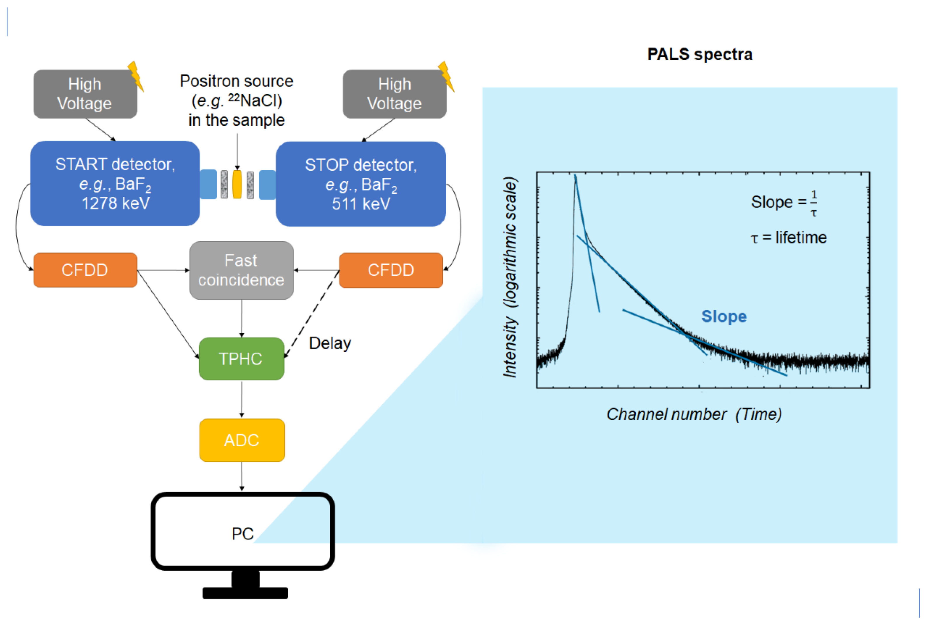 Pharmaceuticals 16 00252 g001