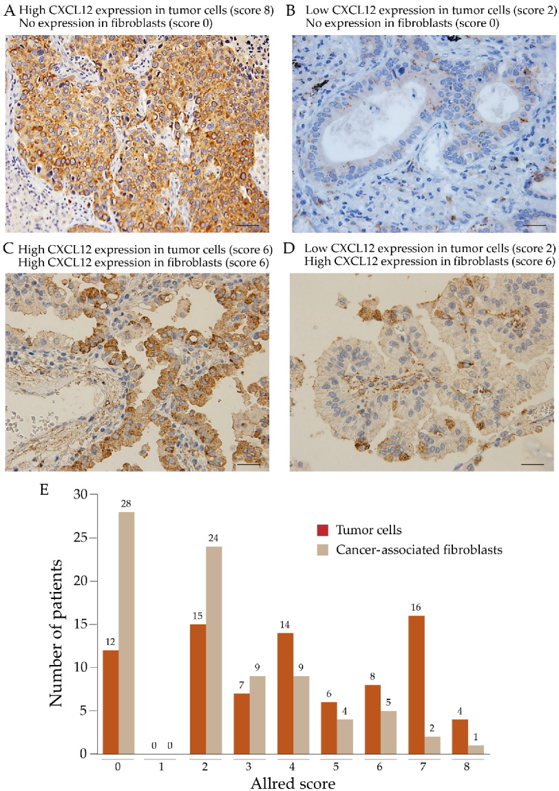Pharmaceuticals 16 00255 g002