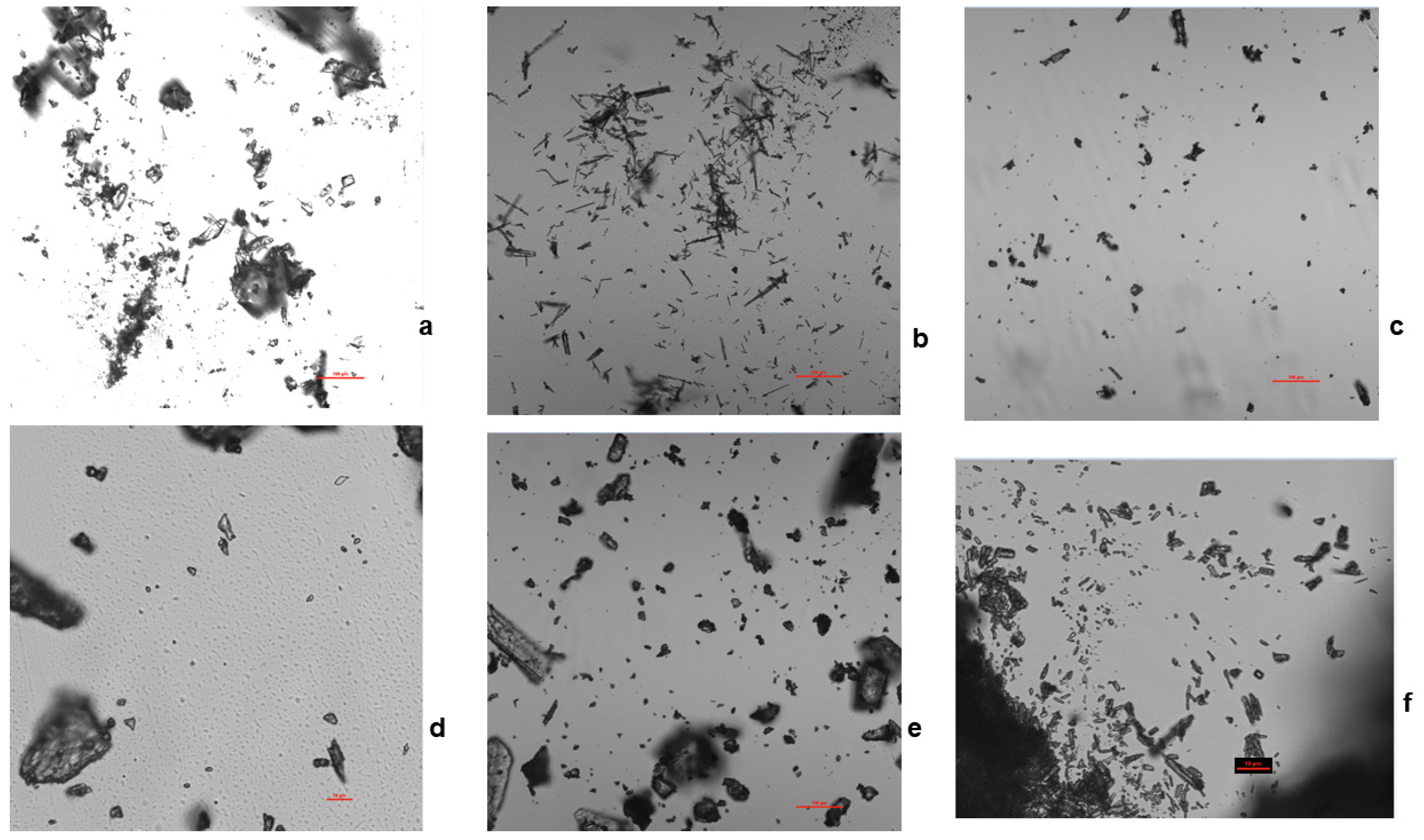 Pharmaceuticals 16 00257 g006
