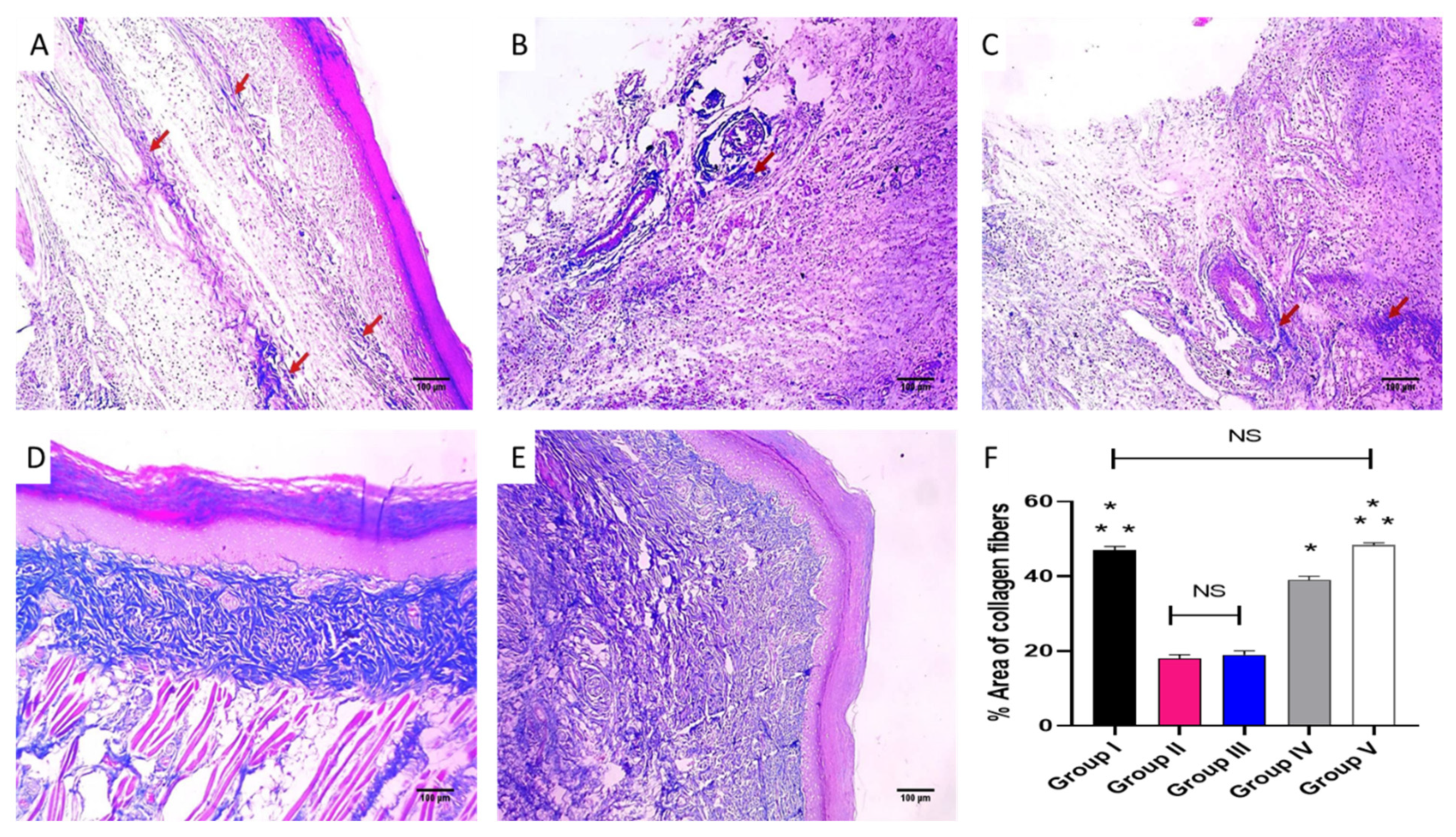 Pharmaceuticals 16 00258 g008