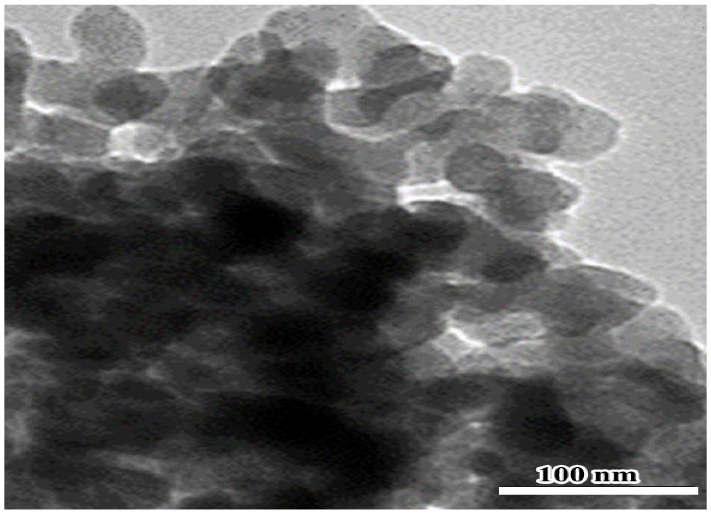 Pharmaceuticals 16 00260 g006