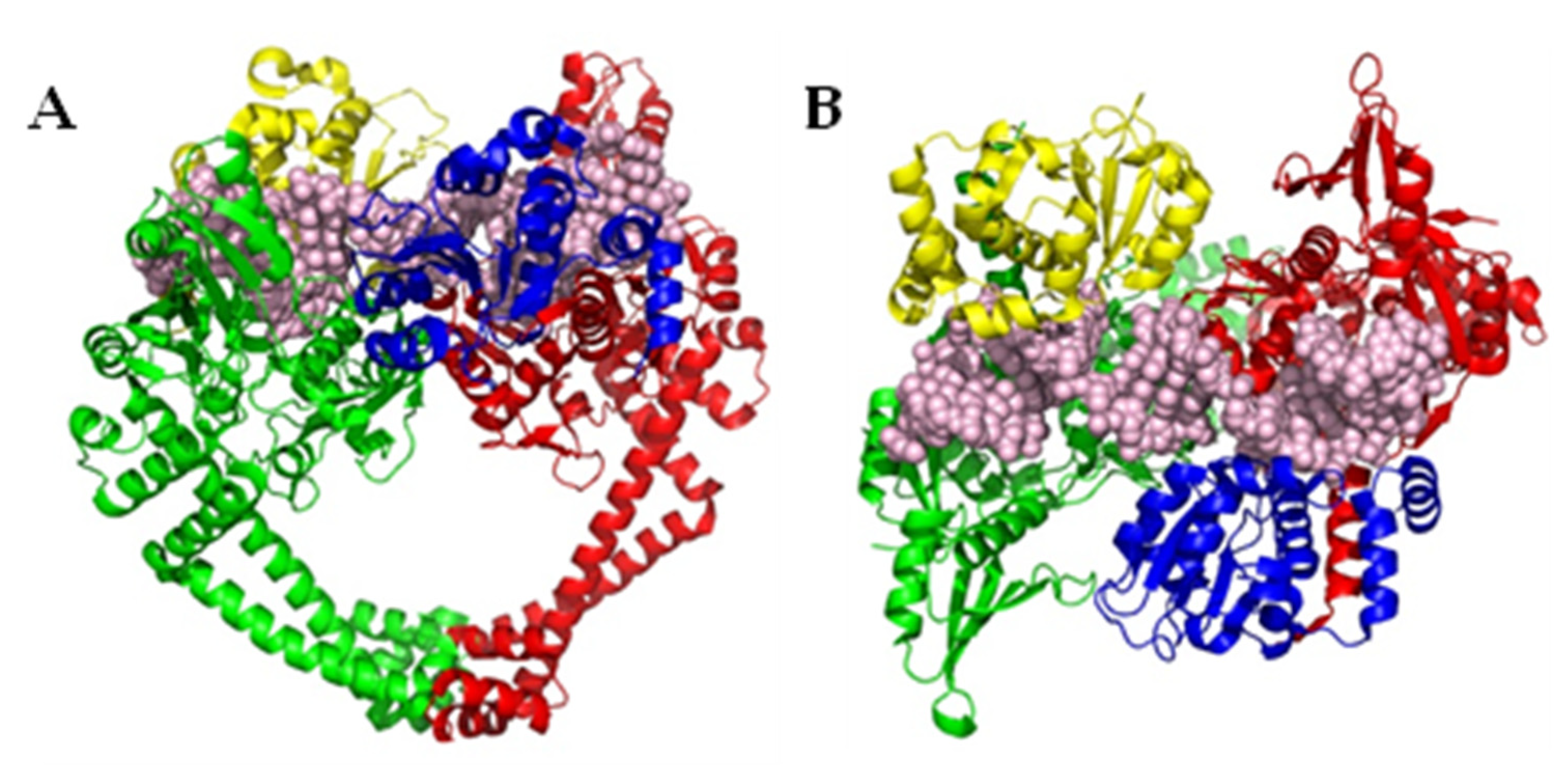 Pharmaceuticals 16 00261 g001 Pharmaceuticals 16 00261 g001