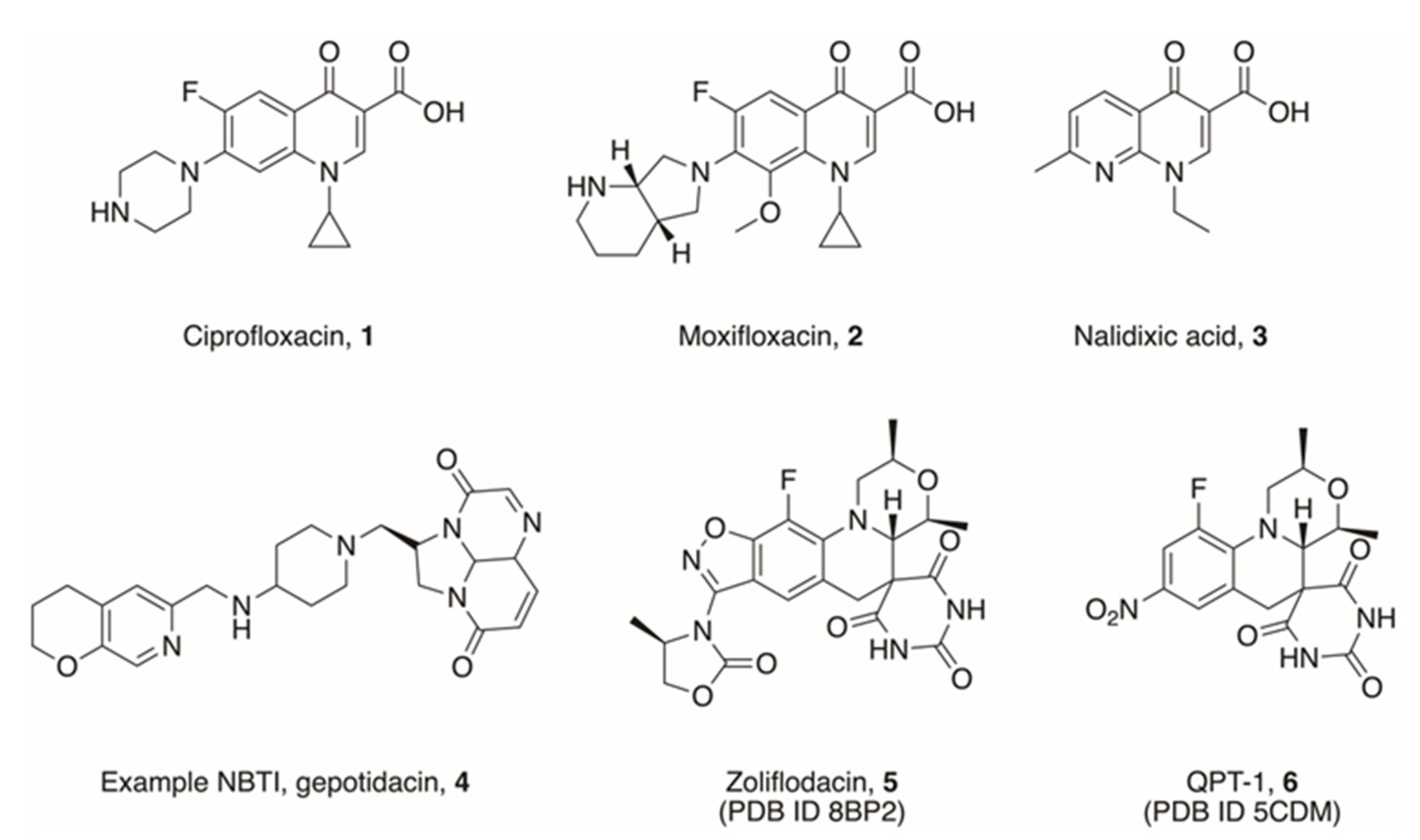 Pharmaceuticals 16 00261 g003 Pharmaceuticals 16 00261 g003