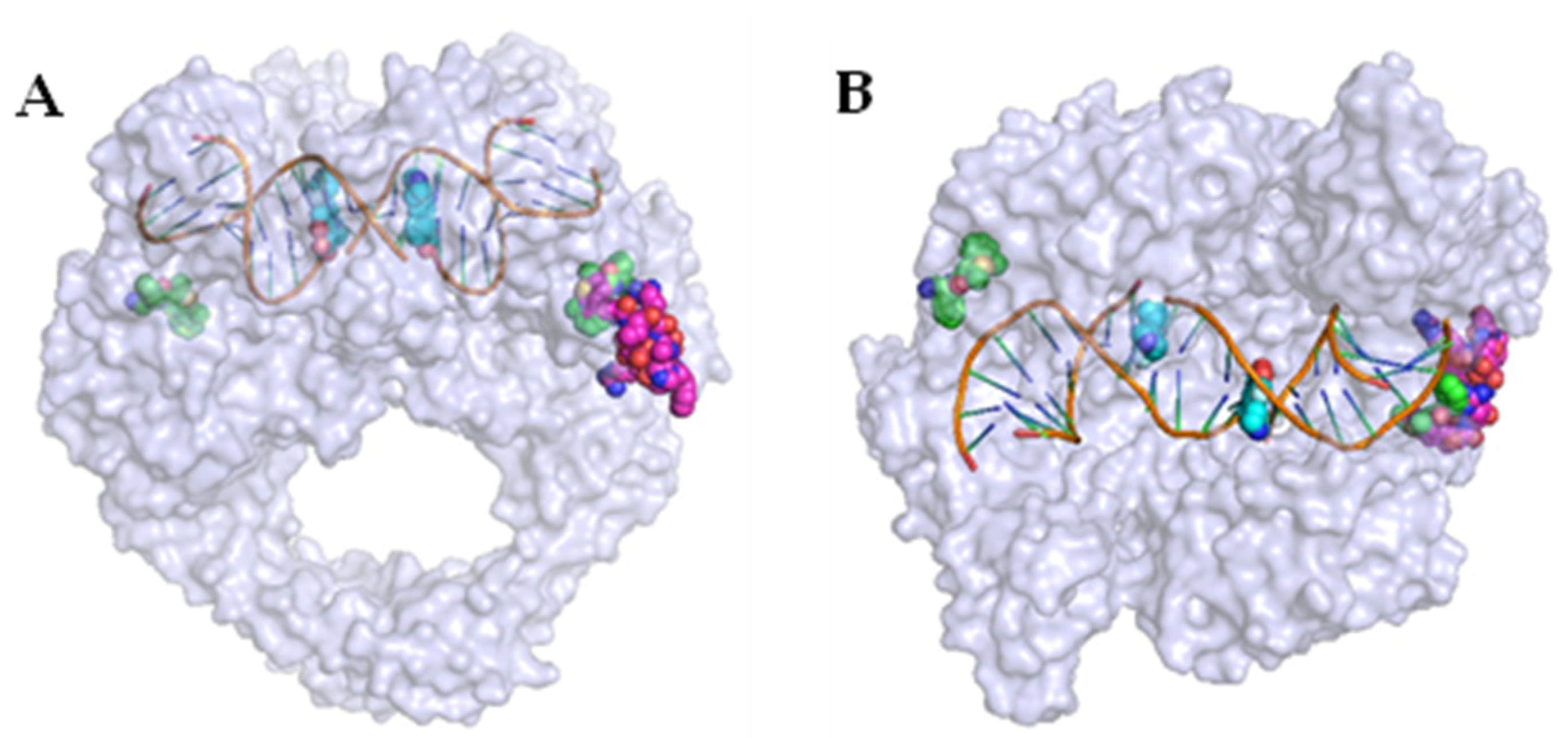 Pharmaceuticals 16 00261 g004 Pharmaceuticals 16 00261 g004