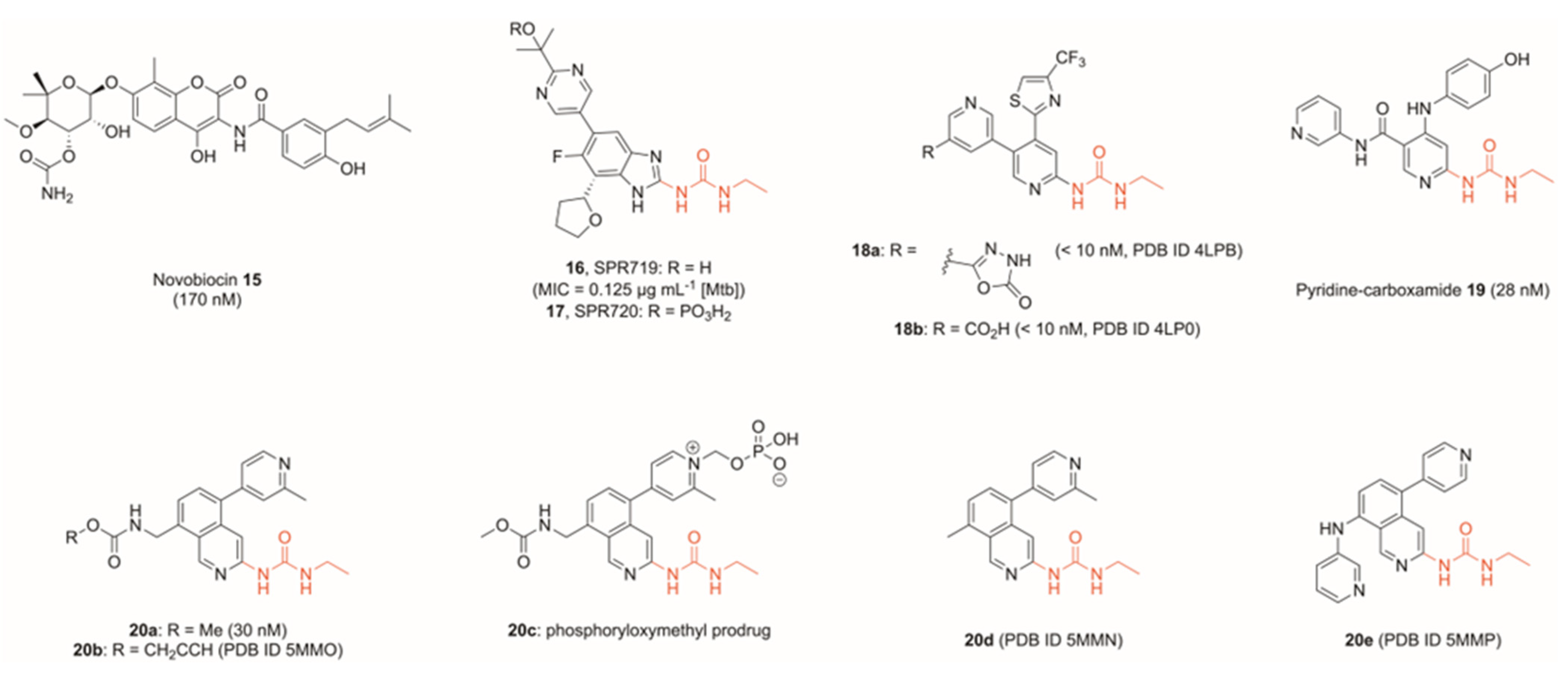 Pharmaceuticals 16 00261 g006 Pharmaceuticals 16 00261 g006