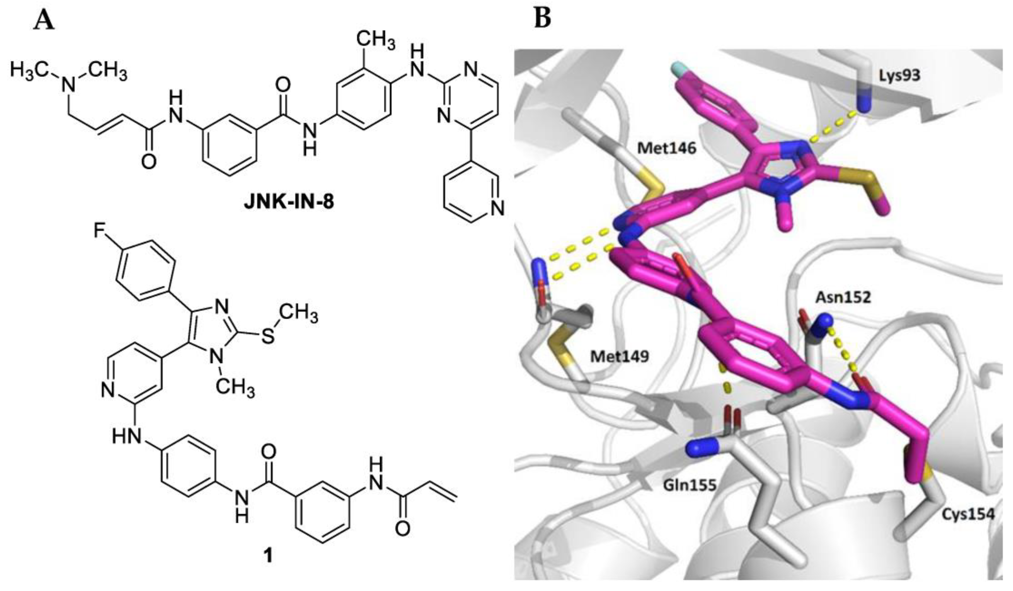 Pharmaceuticals 16 00264 g001