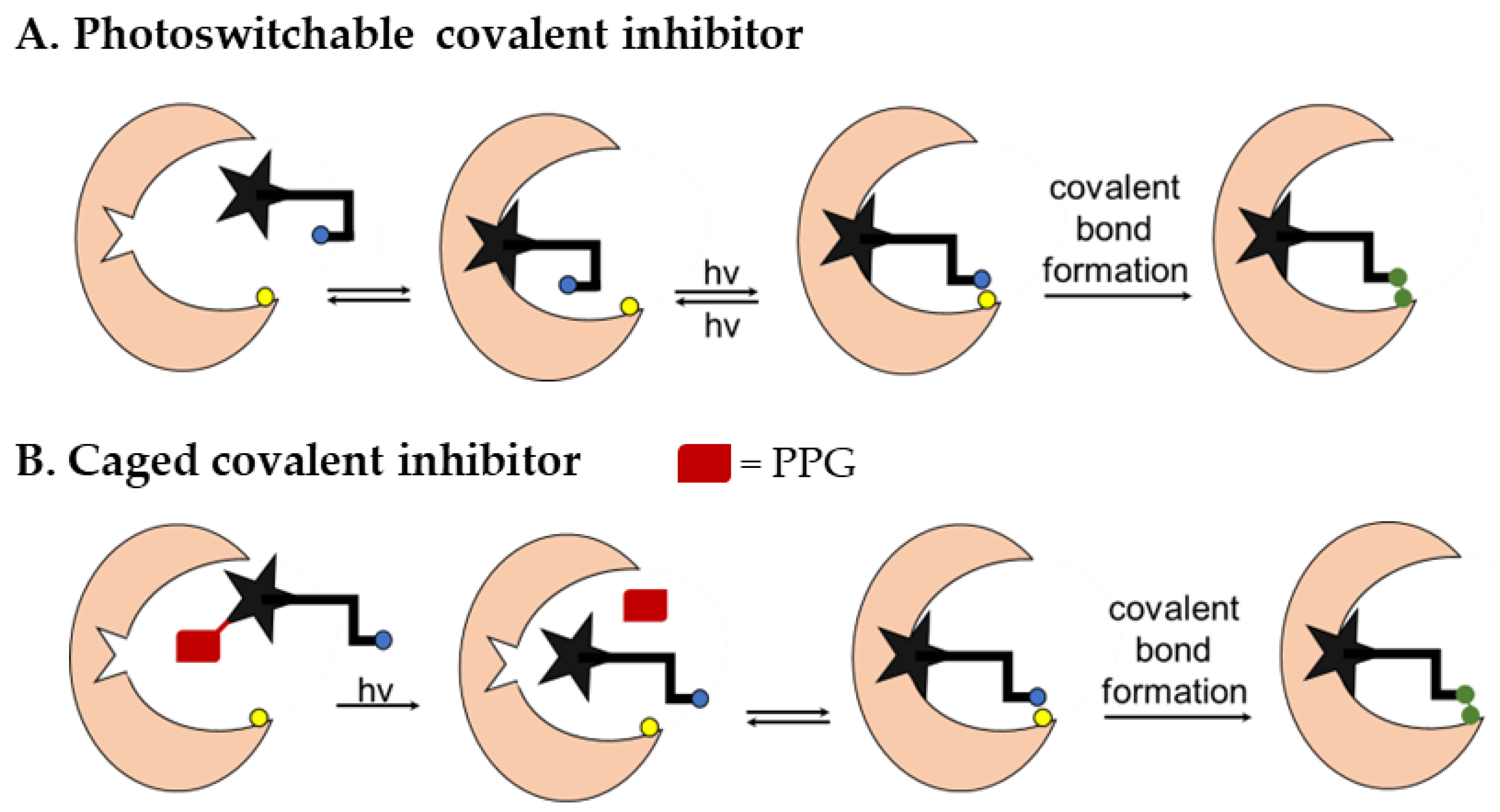 Pharmaceuticals 16 00264 g002