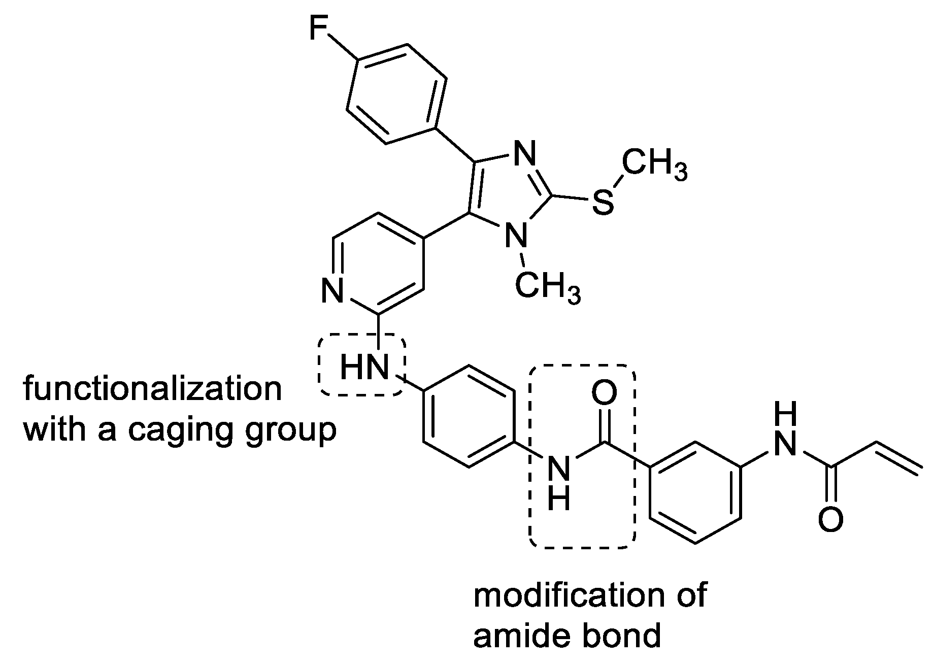 Pharmaceuticals 16 00264 g004