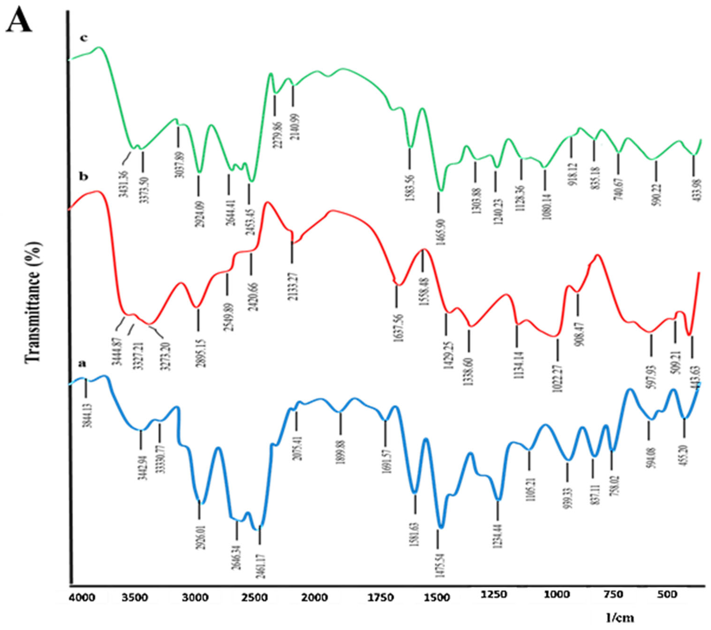 Pharmaceuticals 16 00265 g001a