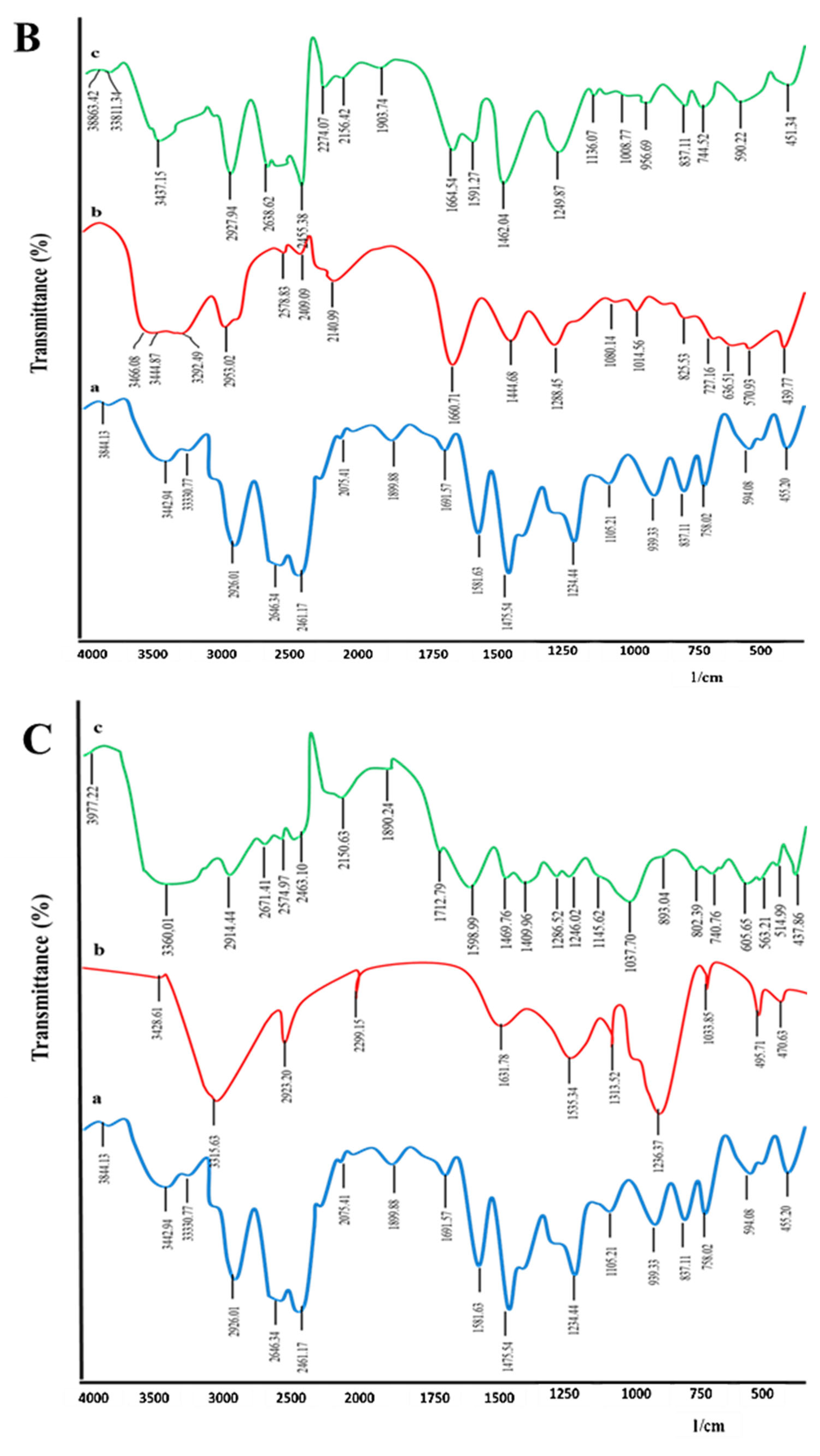 Pharmaceuticals 16 00265 g001b