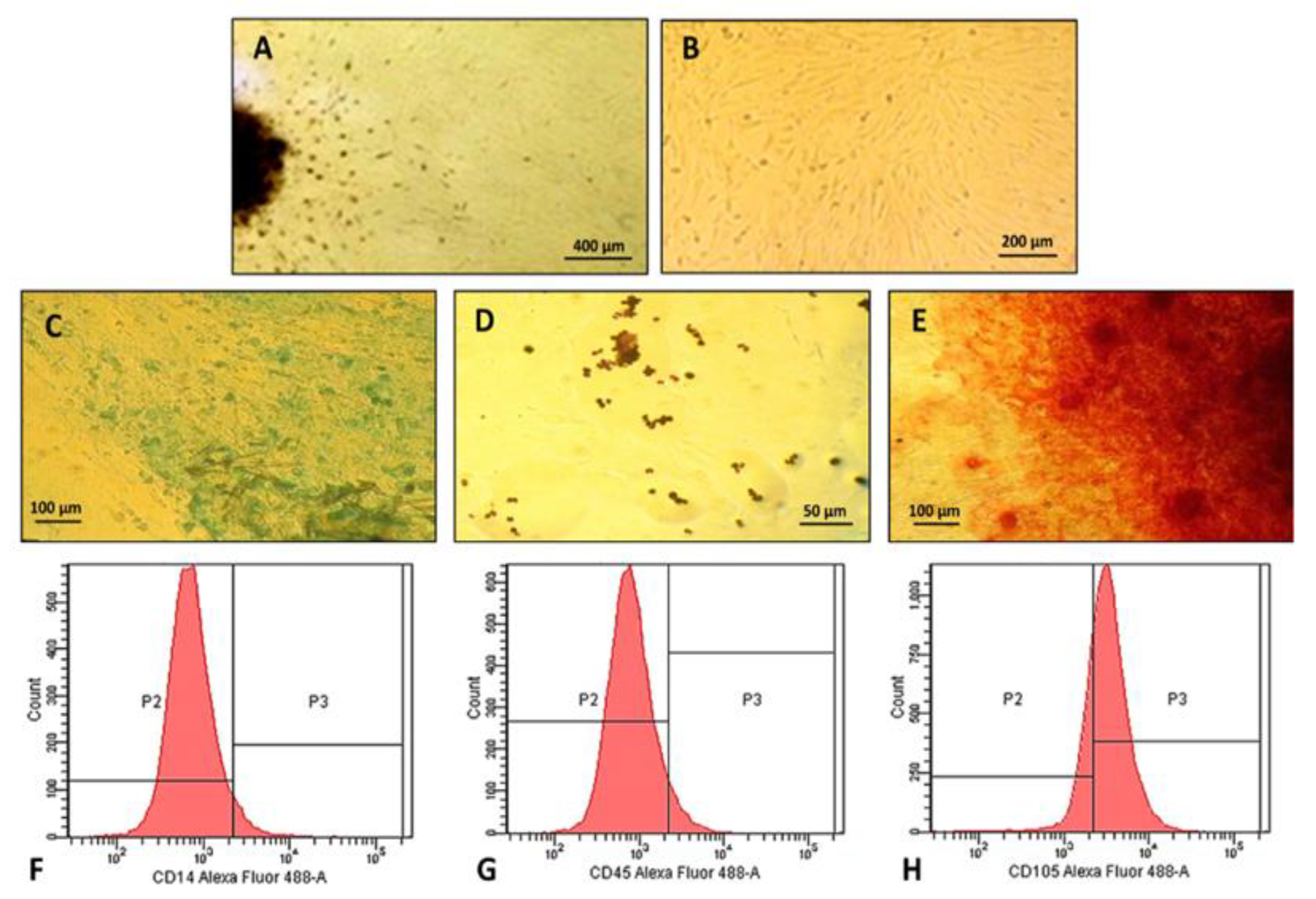 Pharmaceuticals 16 00266 g004