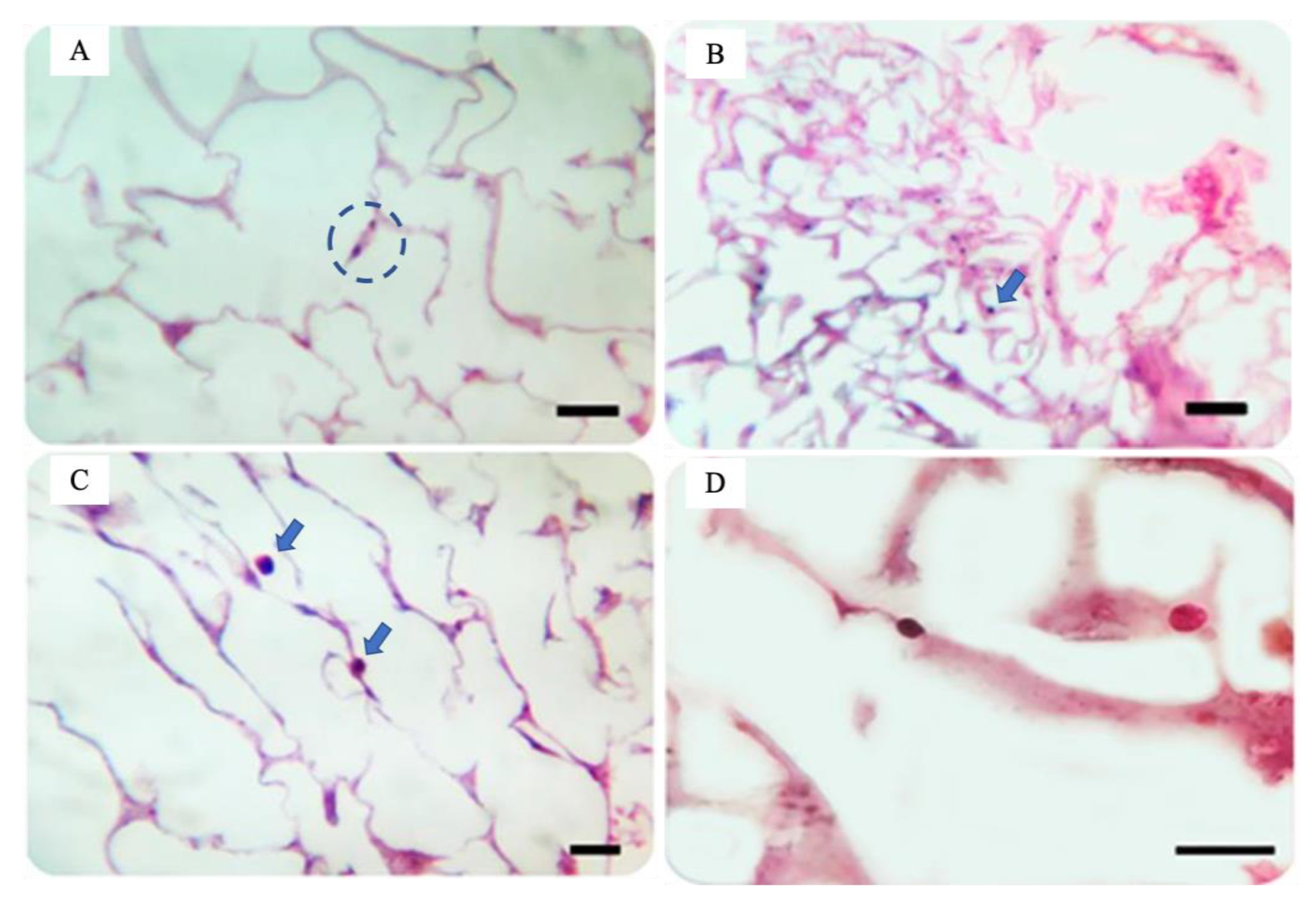 Pharmaceuticals 16 00266 g006