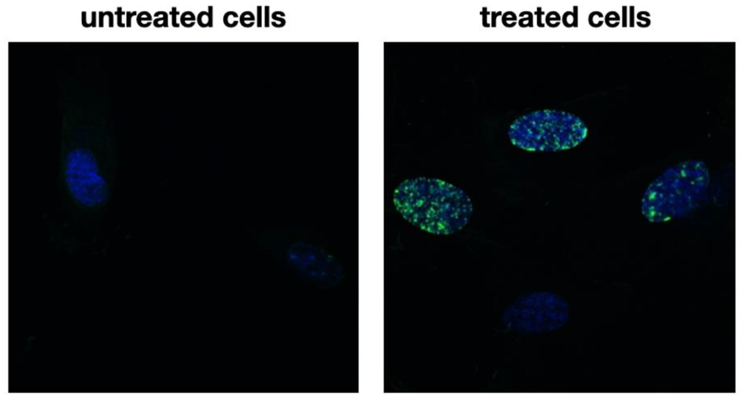 Pharmaceuticals 16 00267 g002