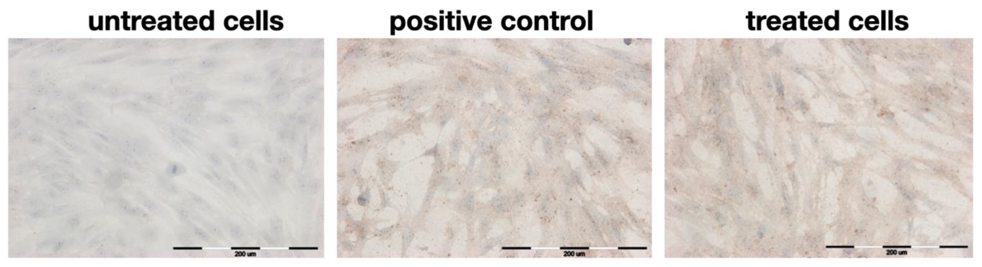 Pharmaceuticals 16 00267 g005