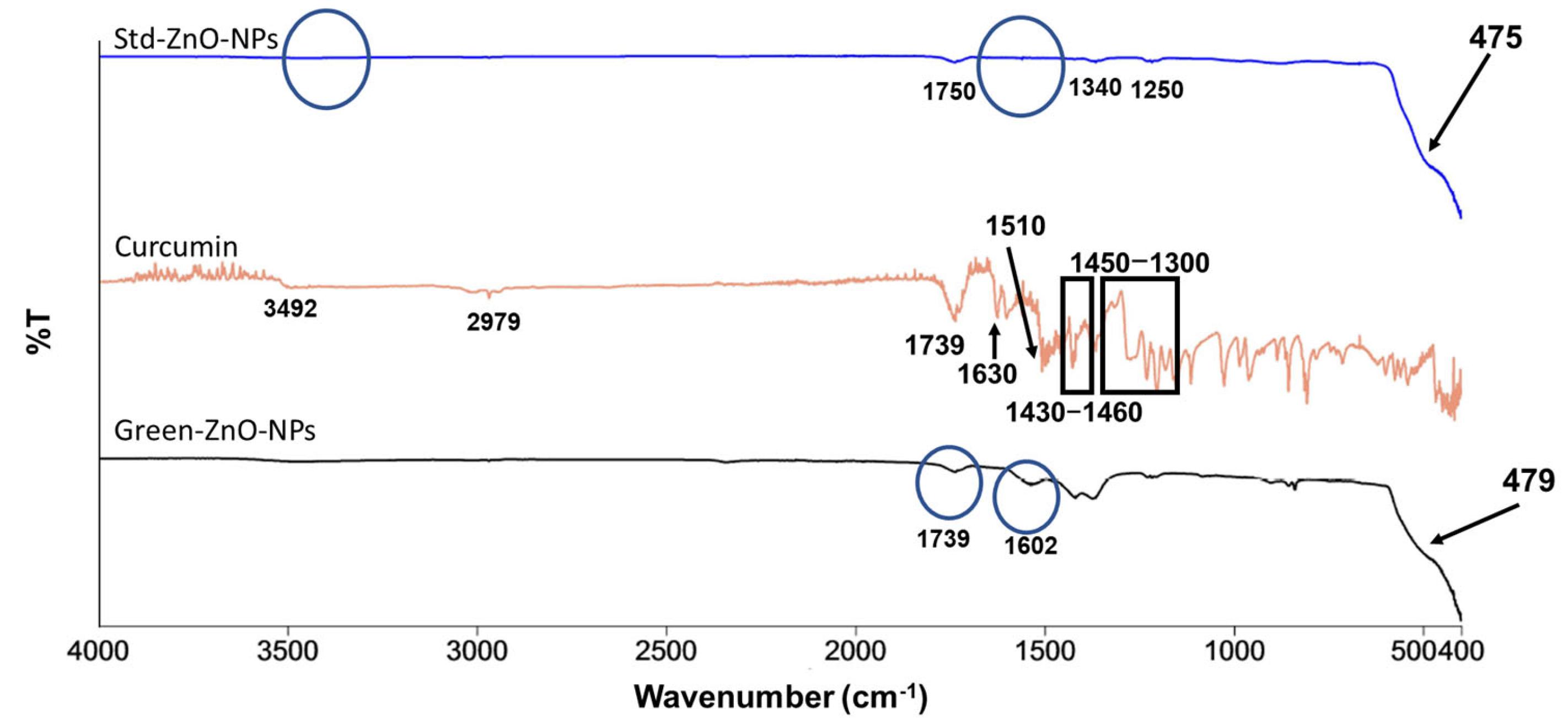 Pharmaceuticals 16 00269 g003