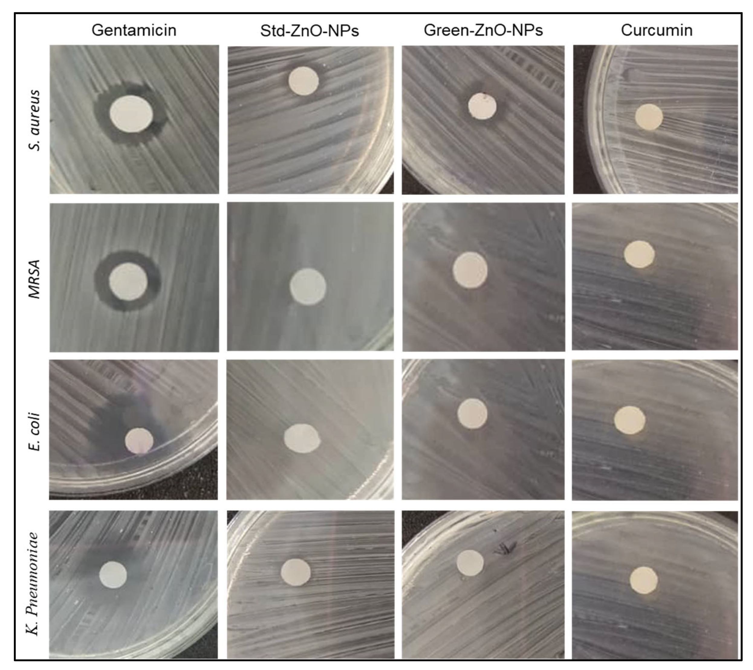 Pharmaceuticals 16 00269 g008