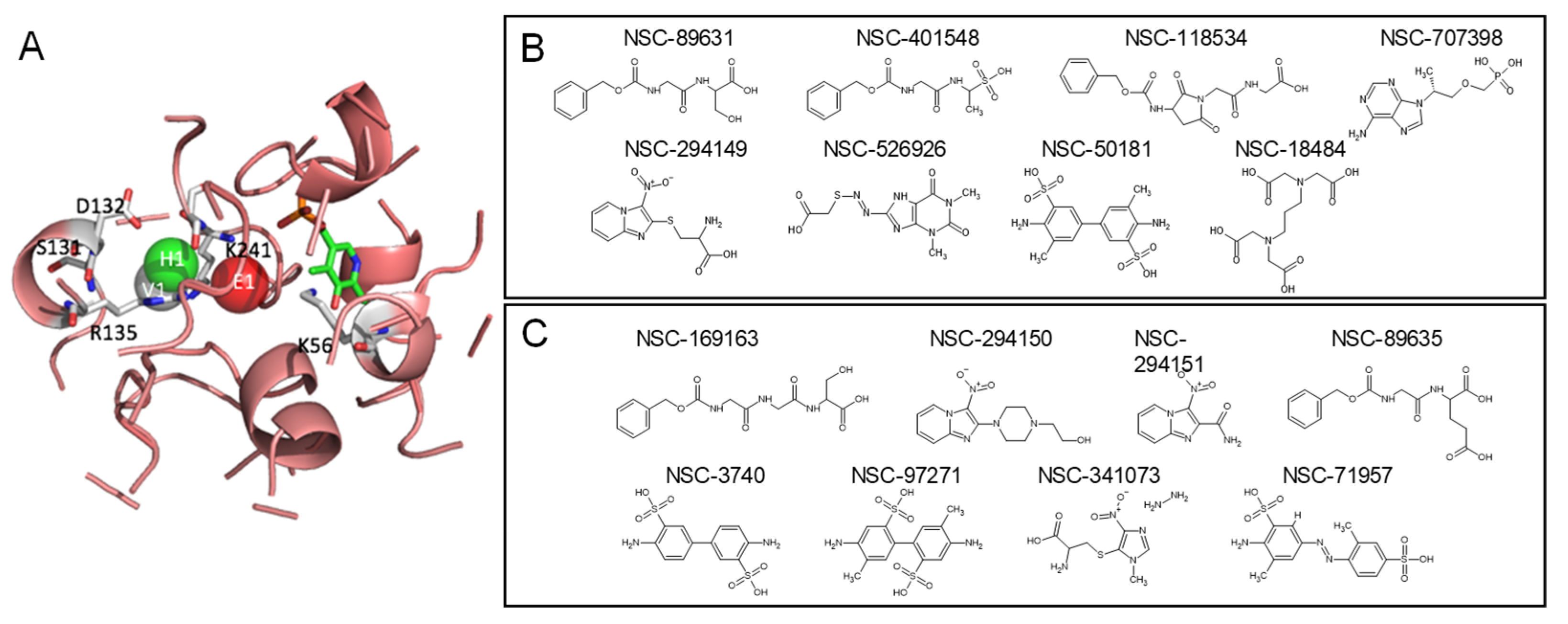Pharmaceuticals 16 00280 g004