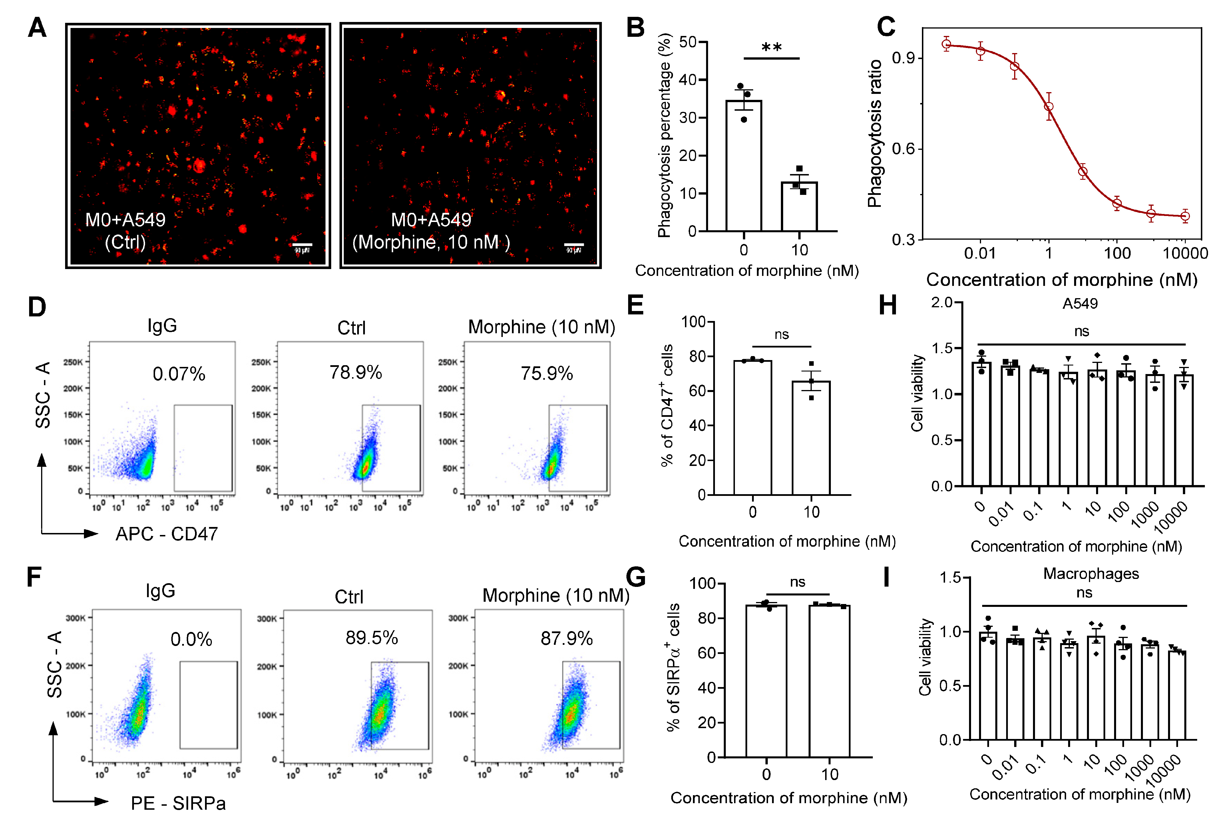 Pharmaceuticals 16 00282 g001 Pharmaceuticals 16 00282 g001