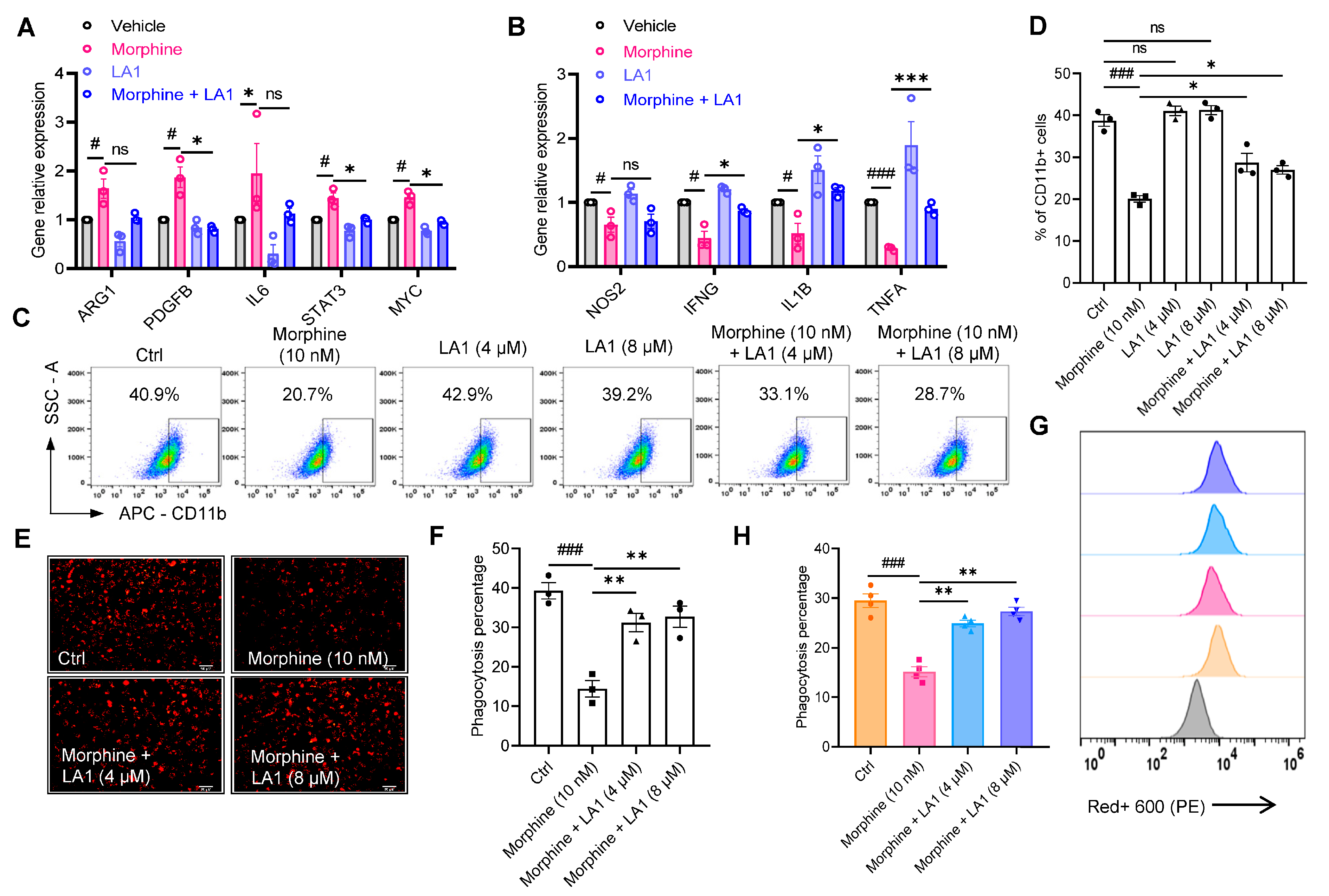 Pharmaceuticals 16 00282 g003 Pharmaceuticals 16 00282 g003