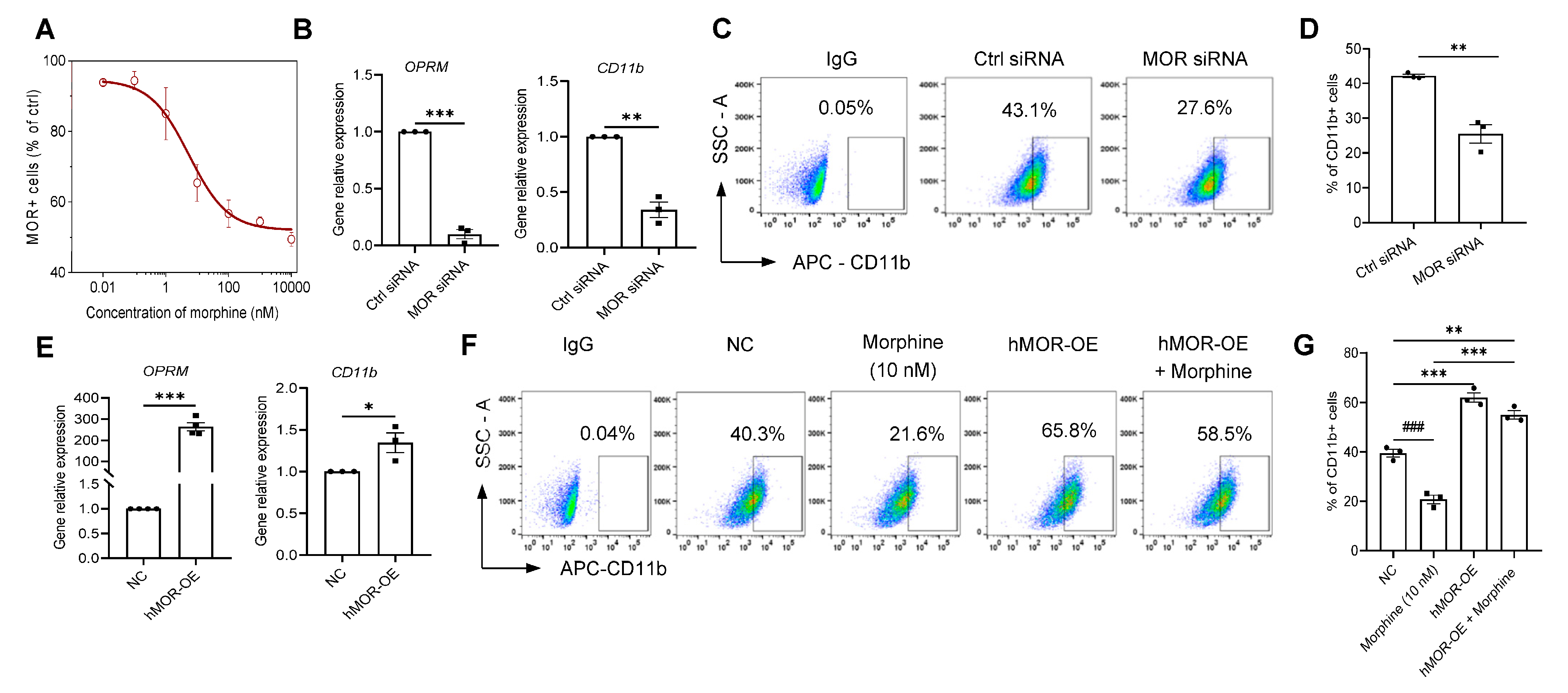 Pharmaceuticals 16 00282 g004 Pharmaceuticals 16 00282 g004