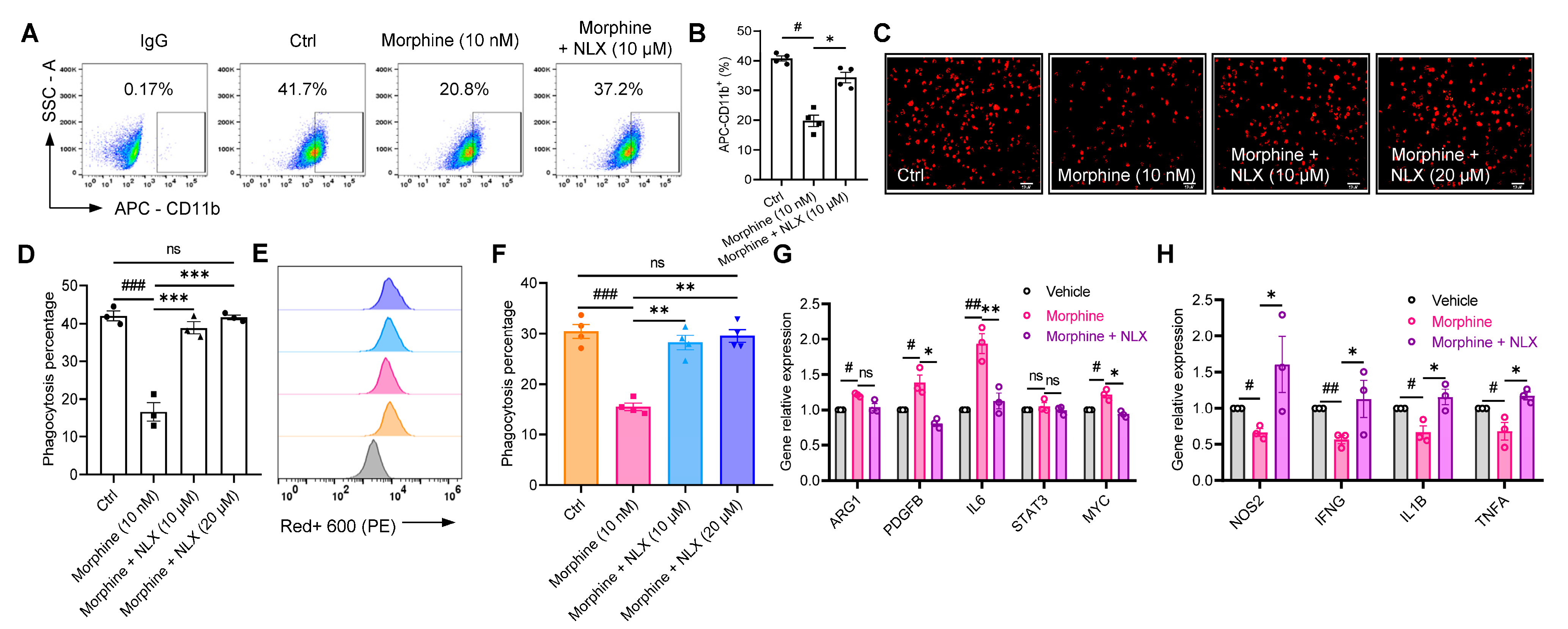 Pharmaceuticals 16 00282 g005 Pharmaceuticals 16 00282 g005
