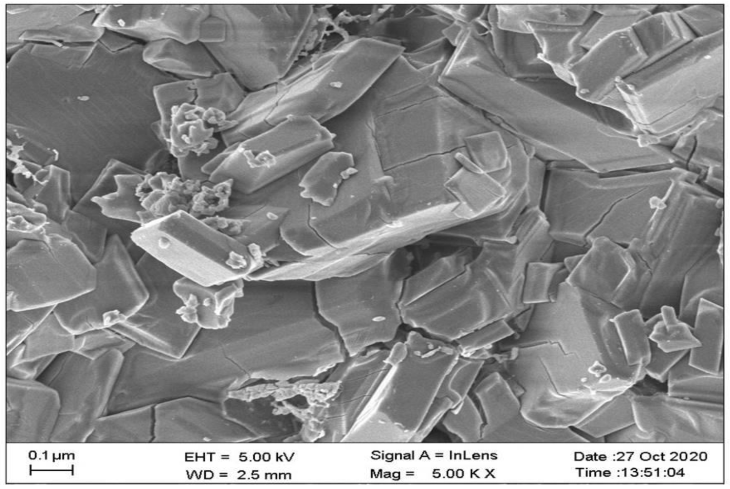 Pharmaceuticals 16 00284 g008