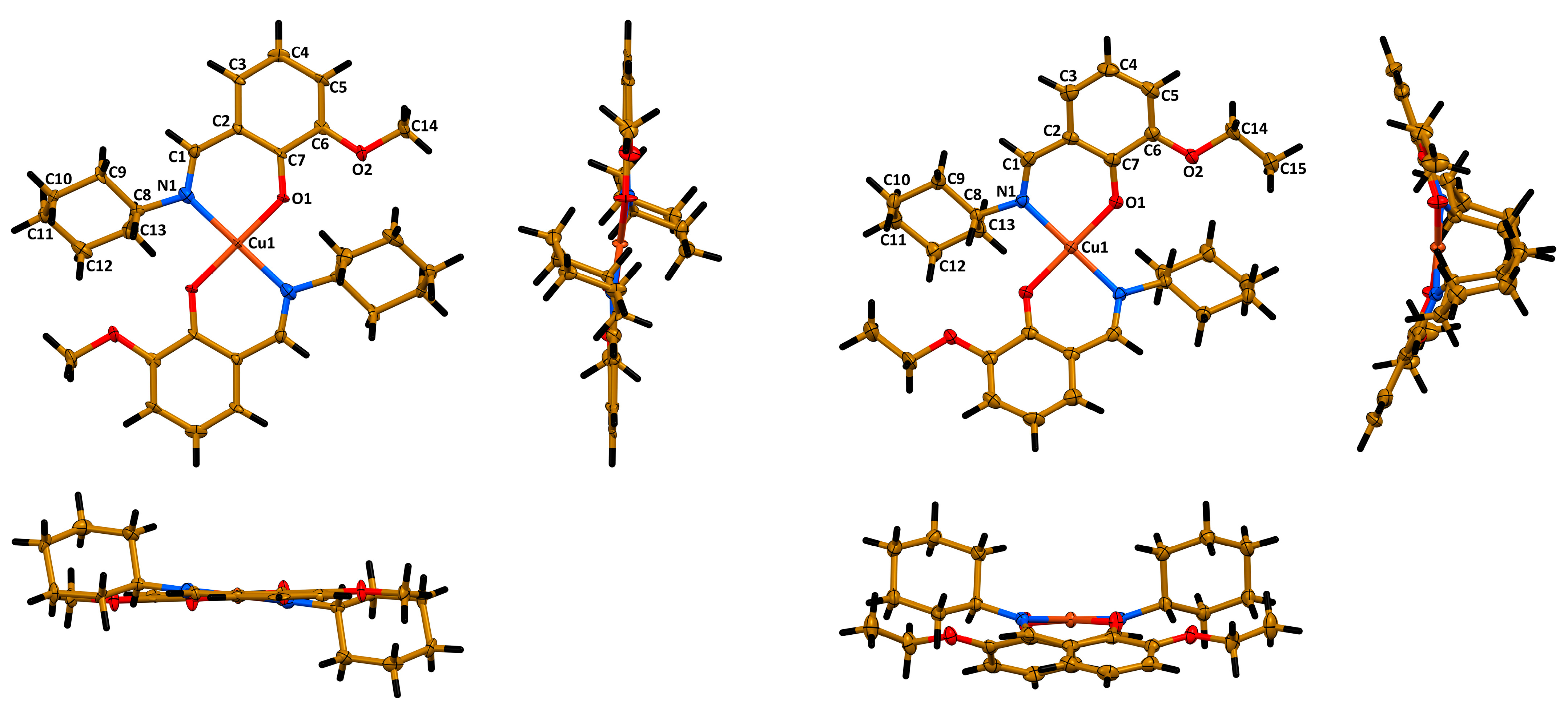Pharmaceuticals 16 00286 g003