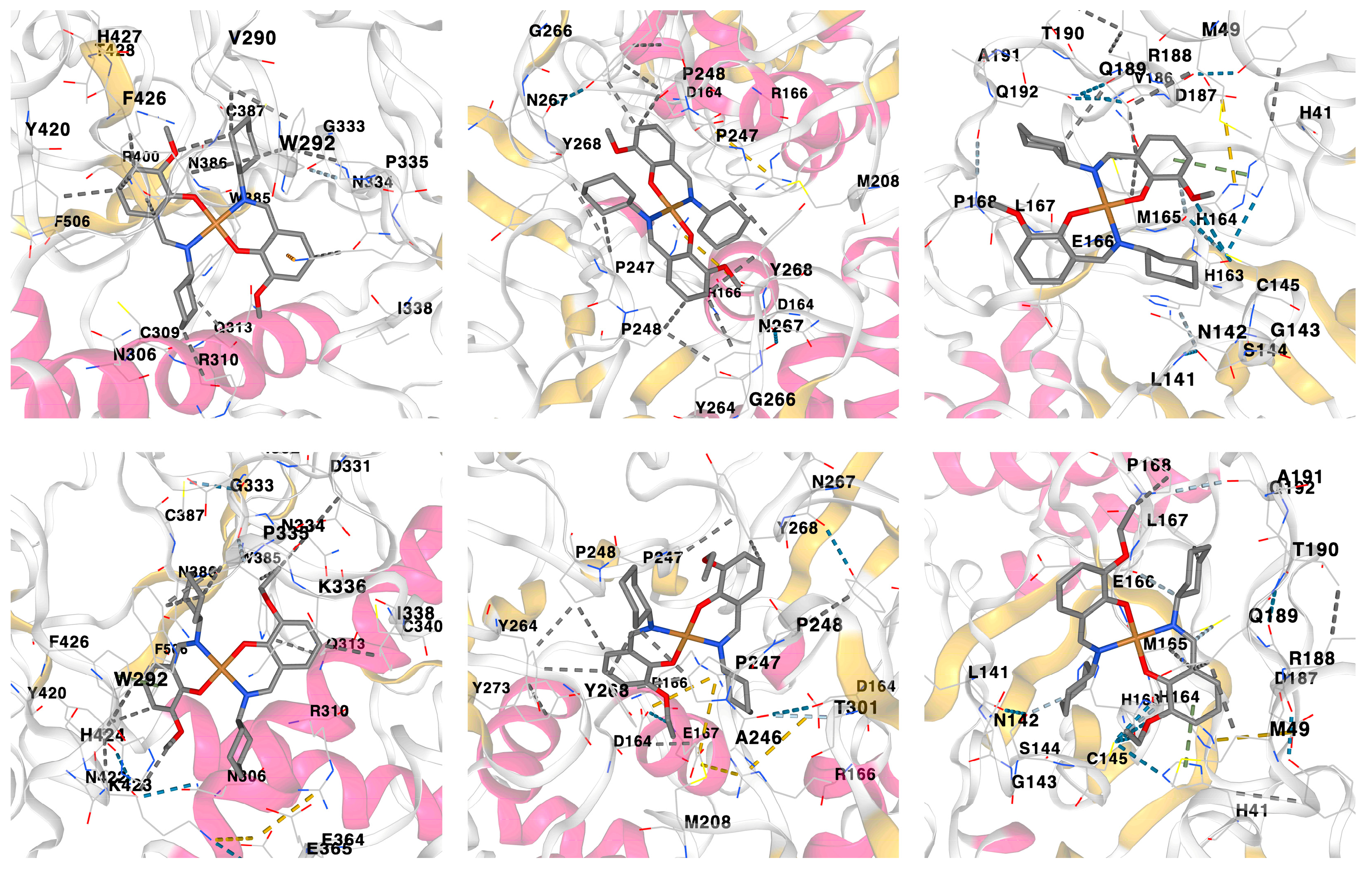 Pharmaceuticals 16 00286 g007