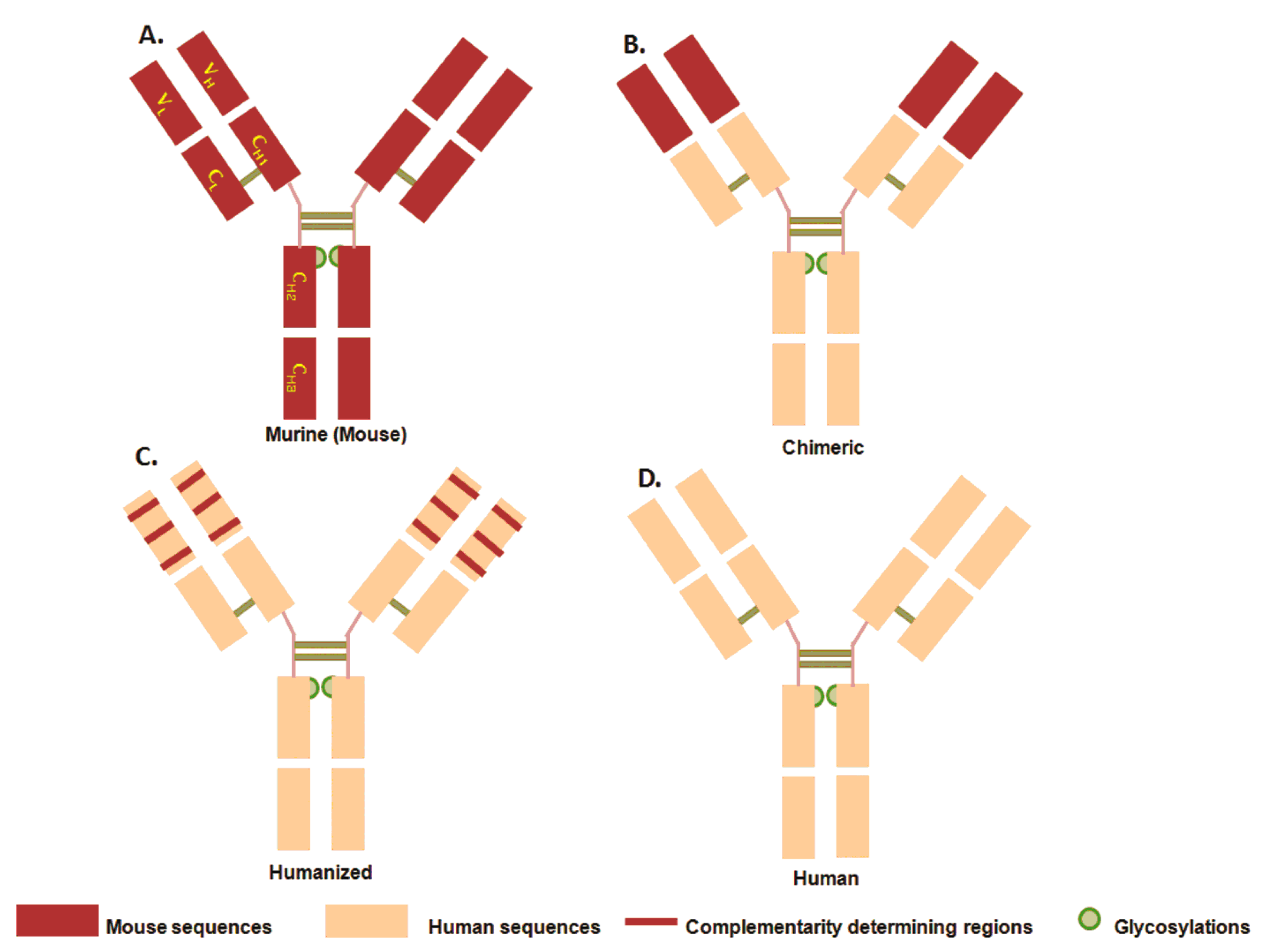 Pharmaceuticals 16 00291 g002