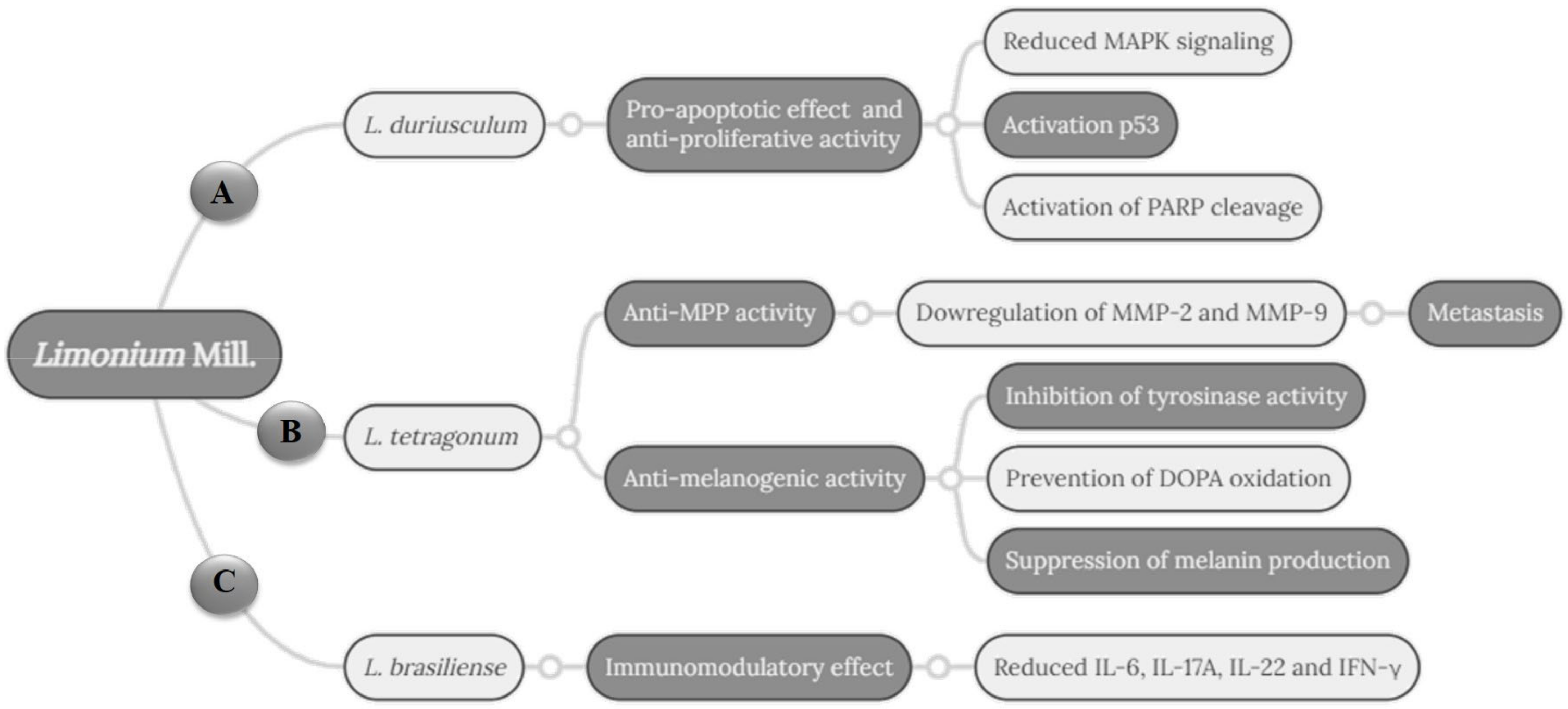 Pharmaceuticals 16 00293 g003