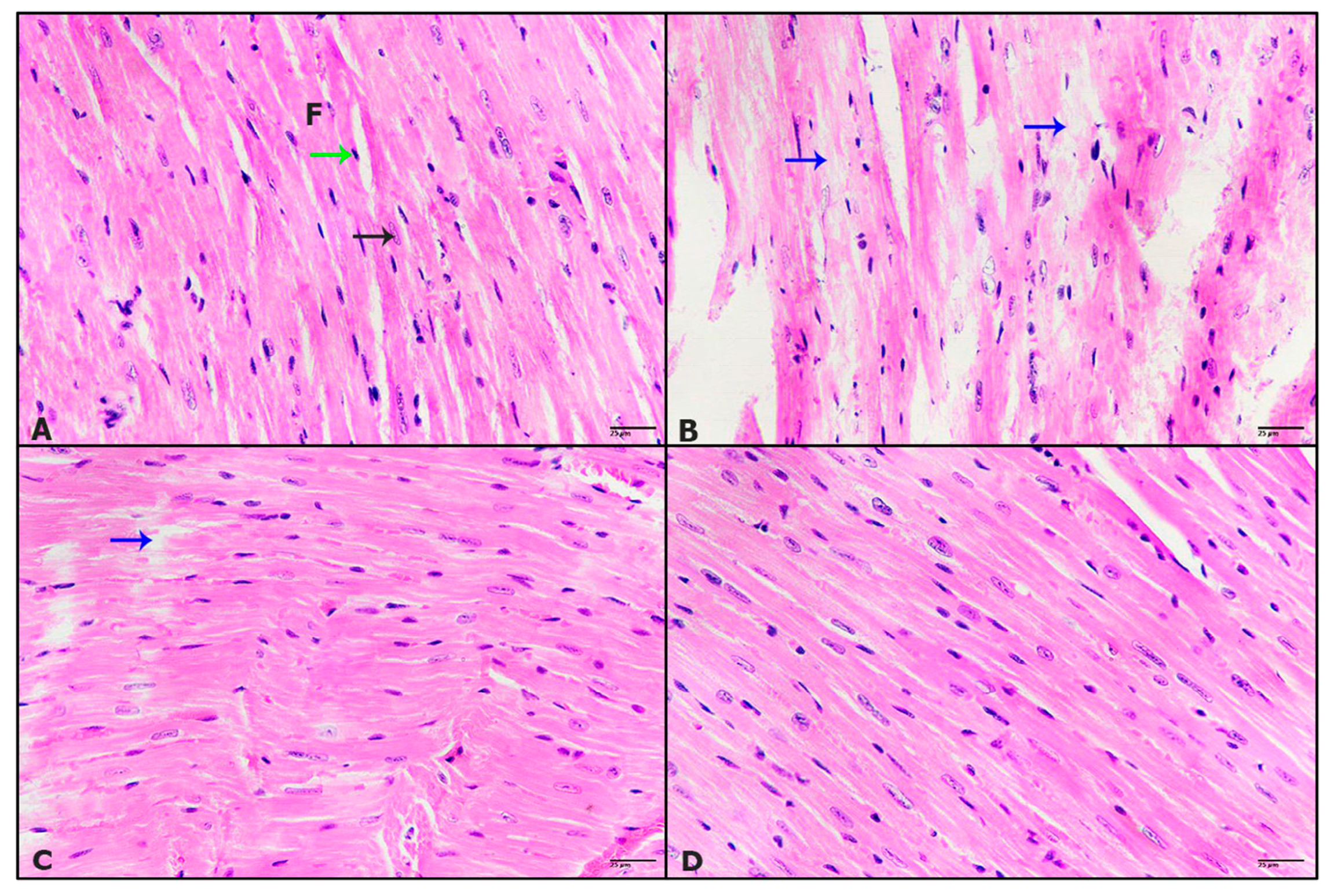Pharmaceuticals 16 00295 g004