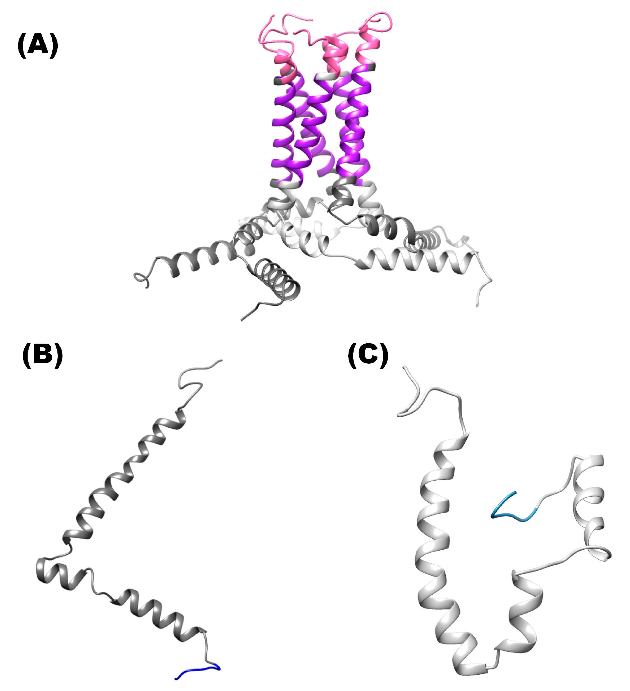 Pharmaceuticals 16 00296 g001 Pharmaceuticals 16 00296 g001