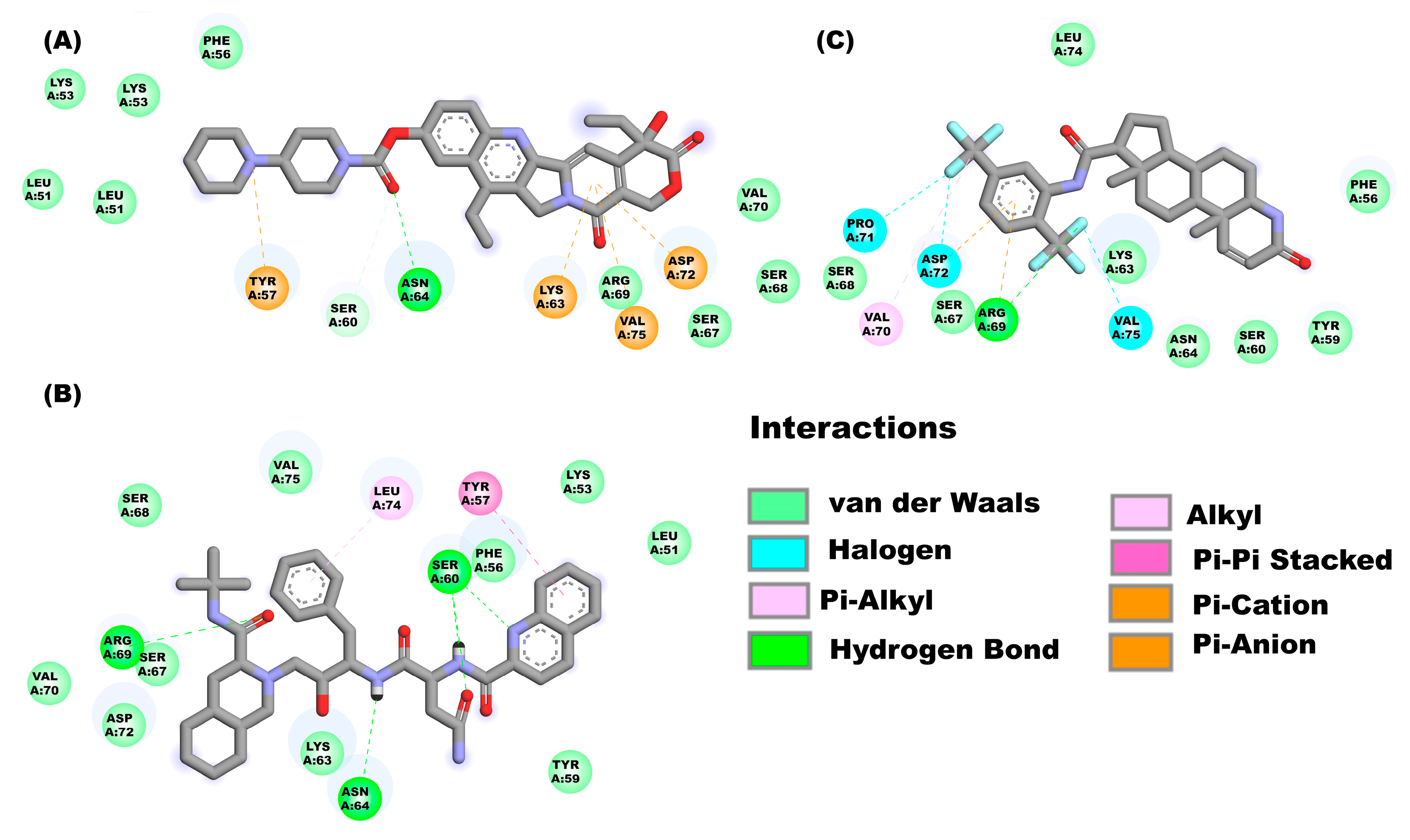 Pharmaceuticals 16 00296 g004 Pharmaceuticals 16 00296 g004