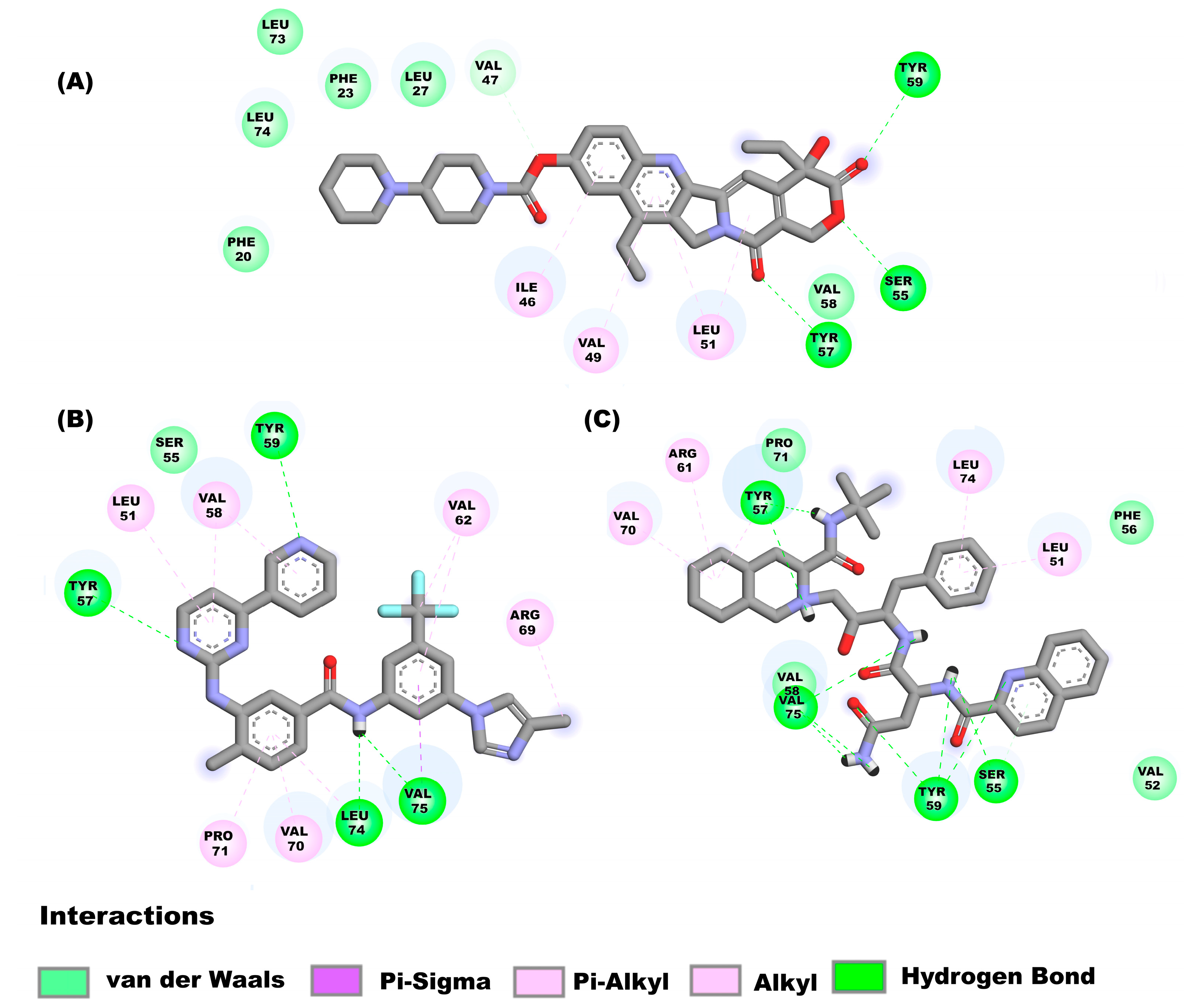 Pharmaceuticals 16 00296 g005 Pharmaceuticals 16 00296 g005