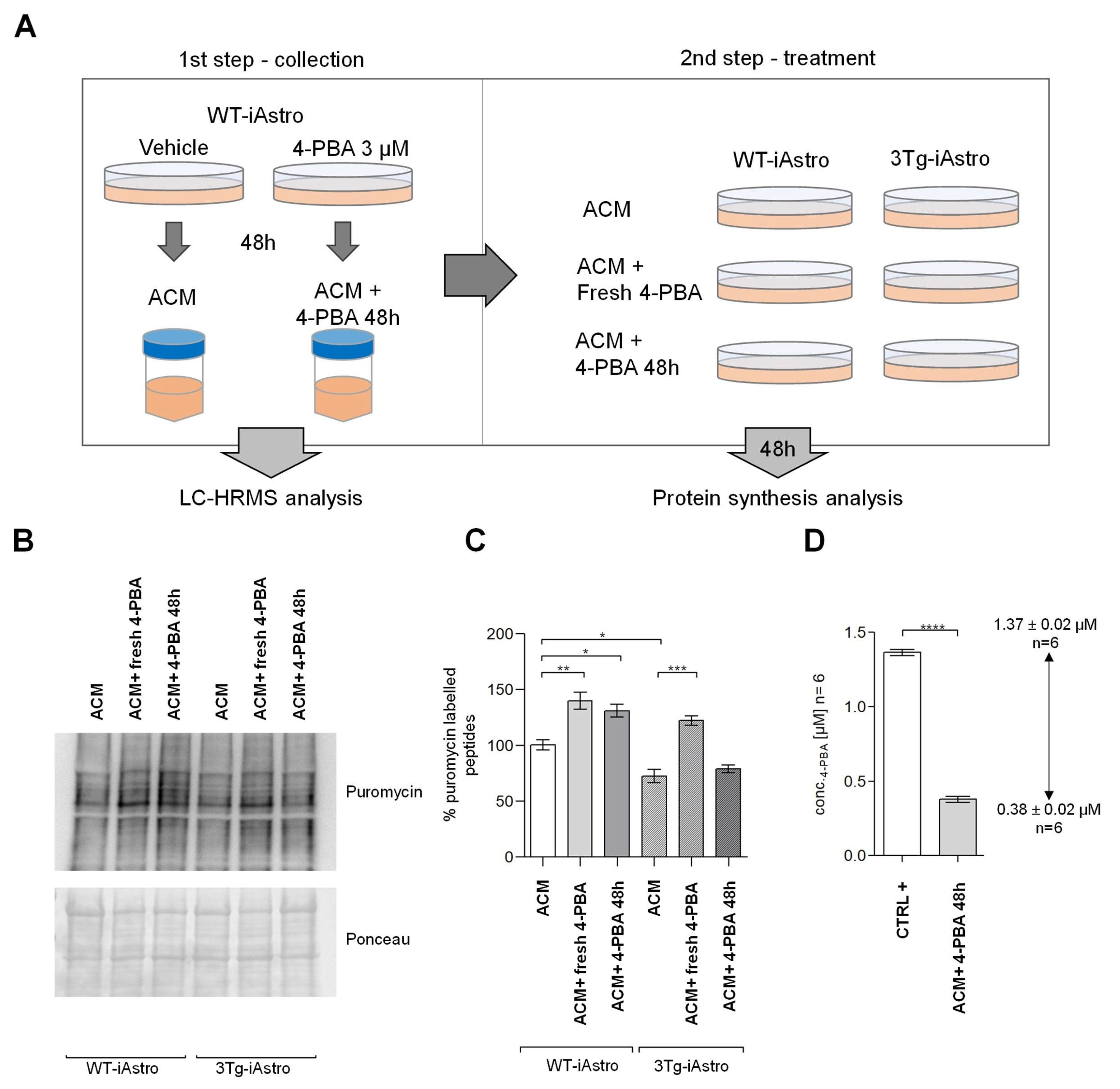 Pharmaceuticals 16 00298 g002